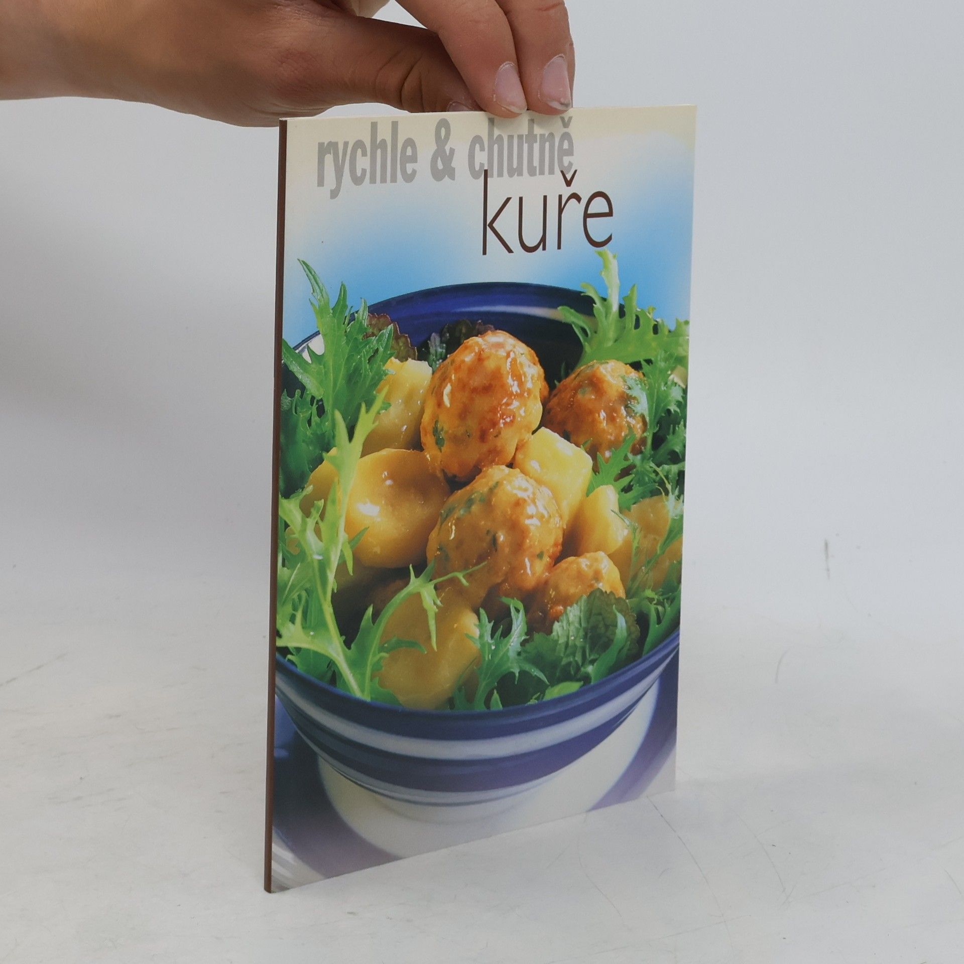 Kolektiv autorů Kuře