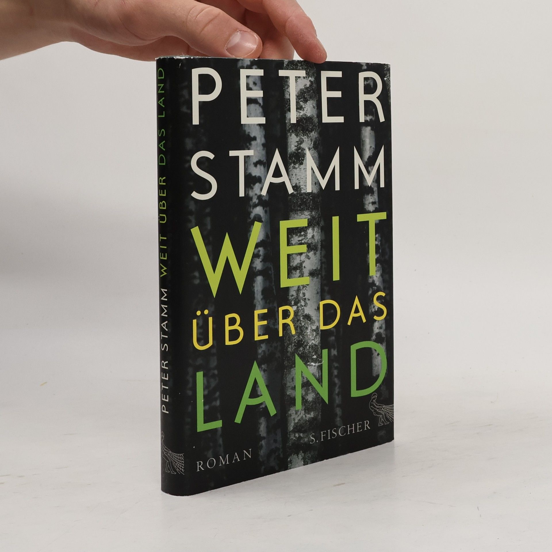 Peter Stamm Weit über das Land