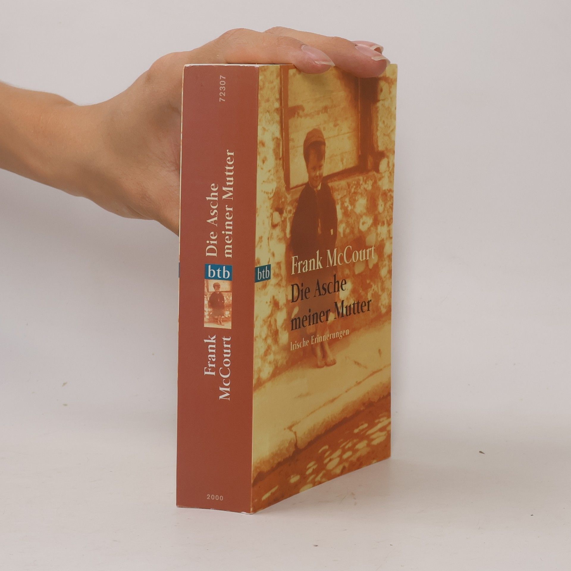 Frank McCourt Die Asche meiner Mutter