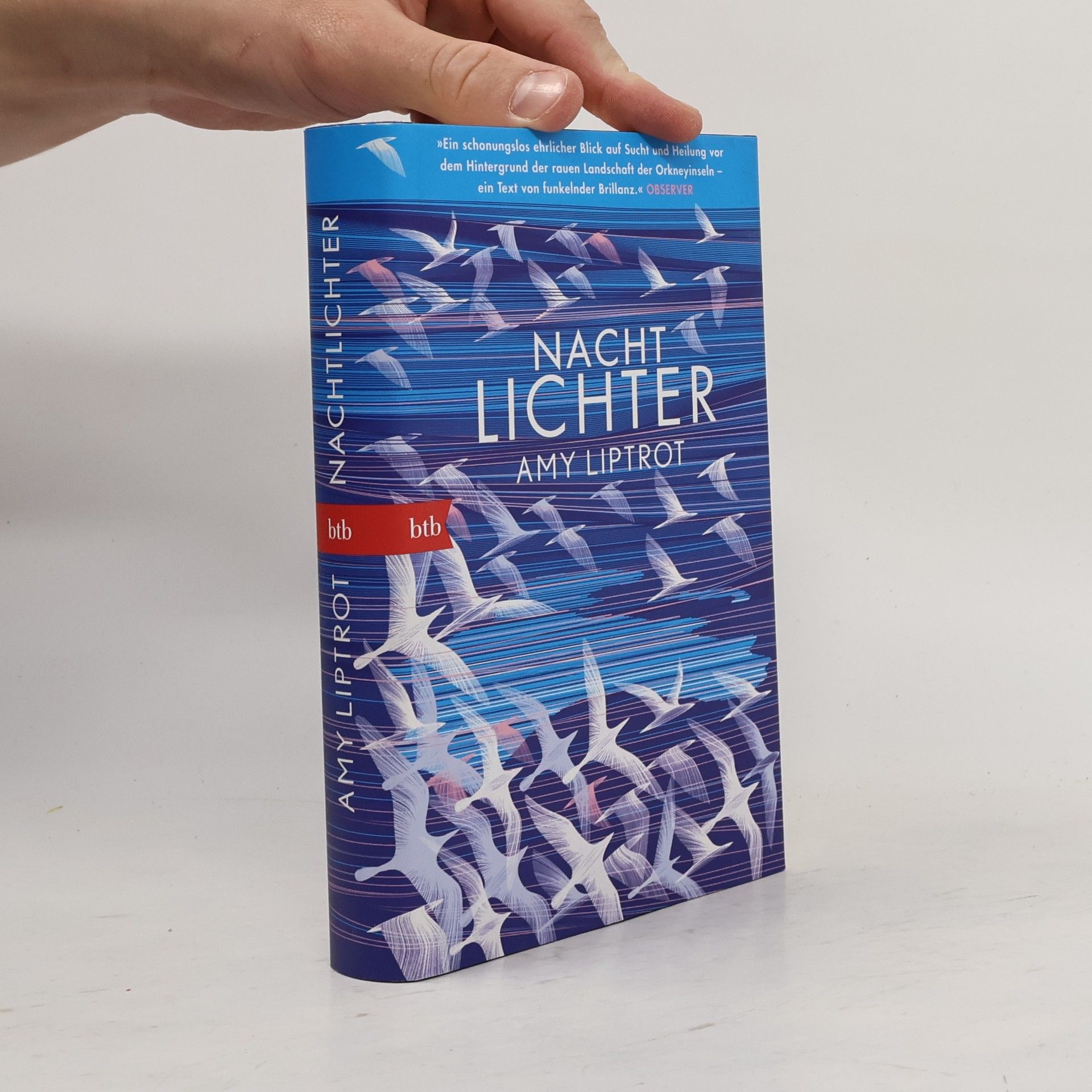Amy Liptrot Nachtlichter
