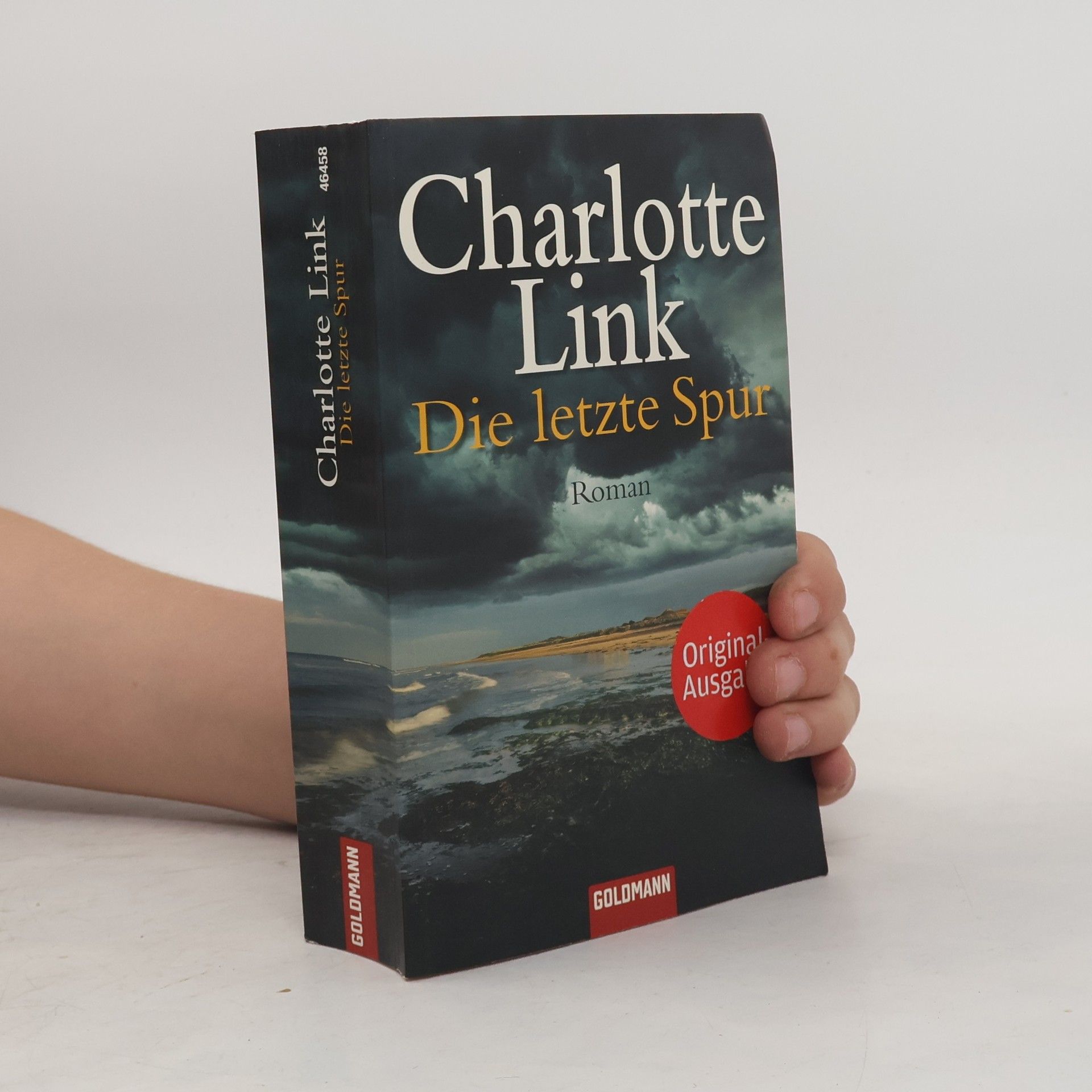 Charlotte Link Die letzte Spur