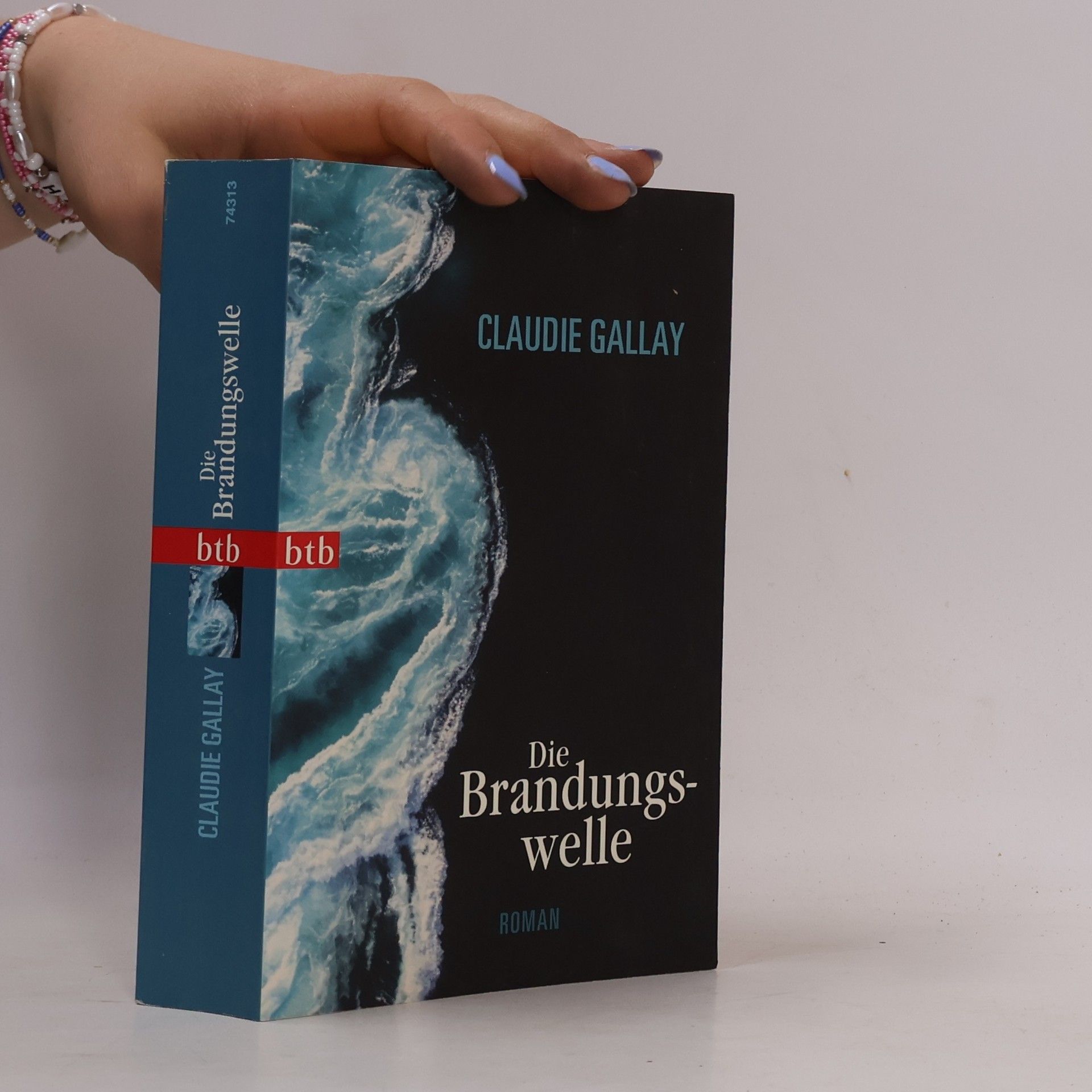 Claudie Gallay Die Brandungswelle