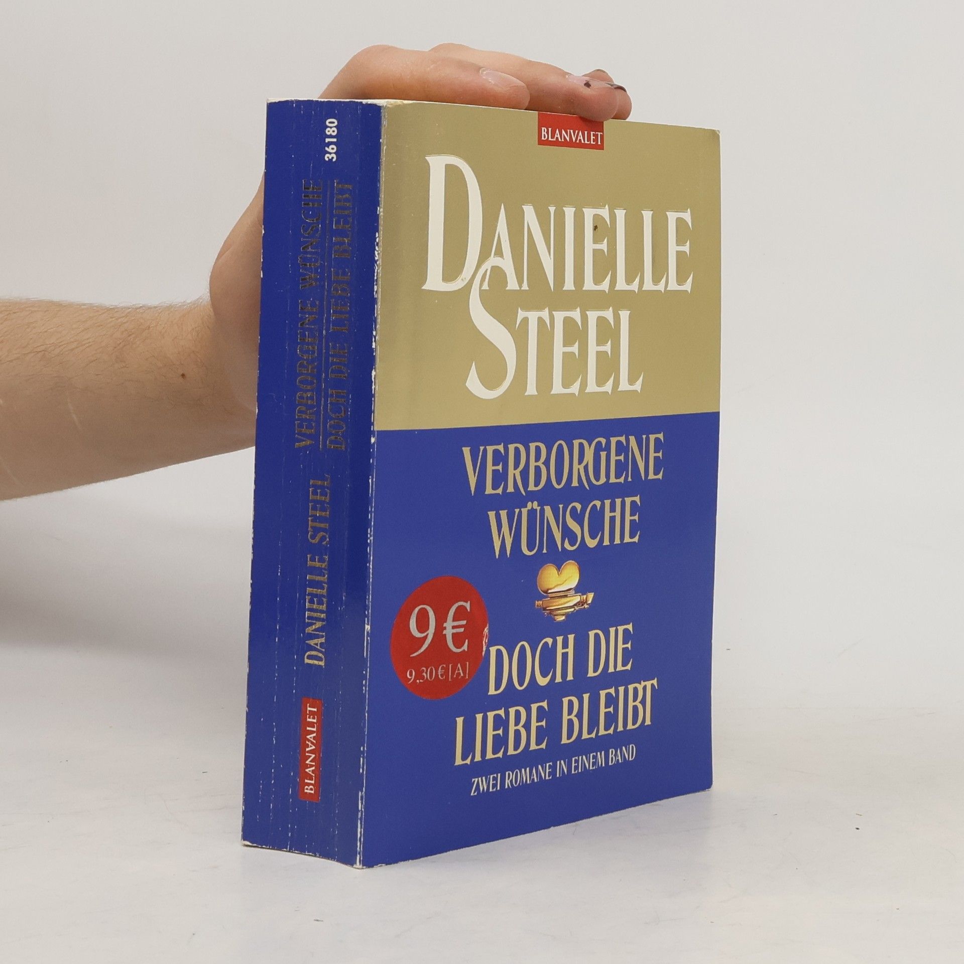 Danielle Steel Verborgene Wünsche