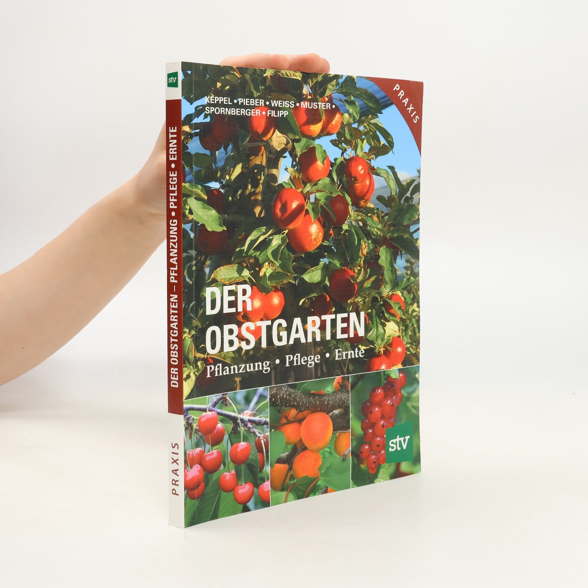 Martin Filipp Der Obstgarten