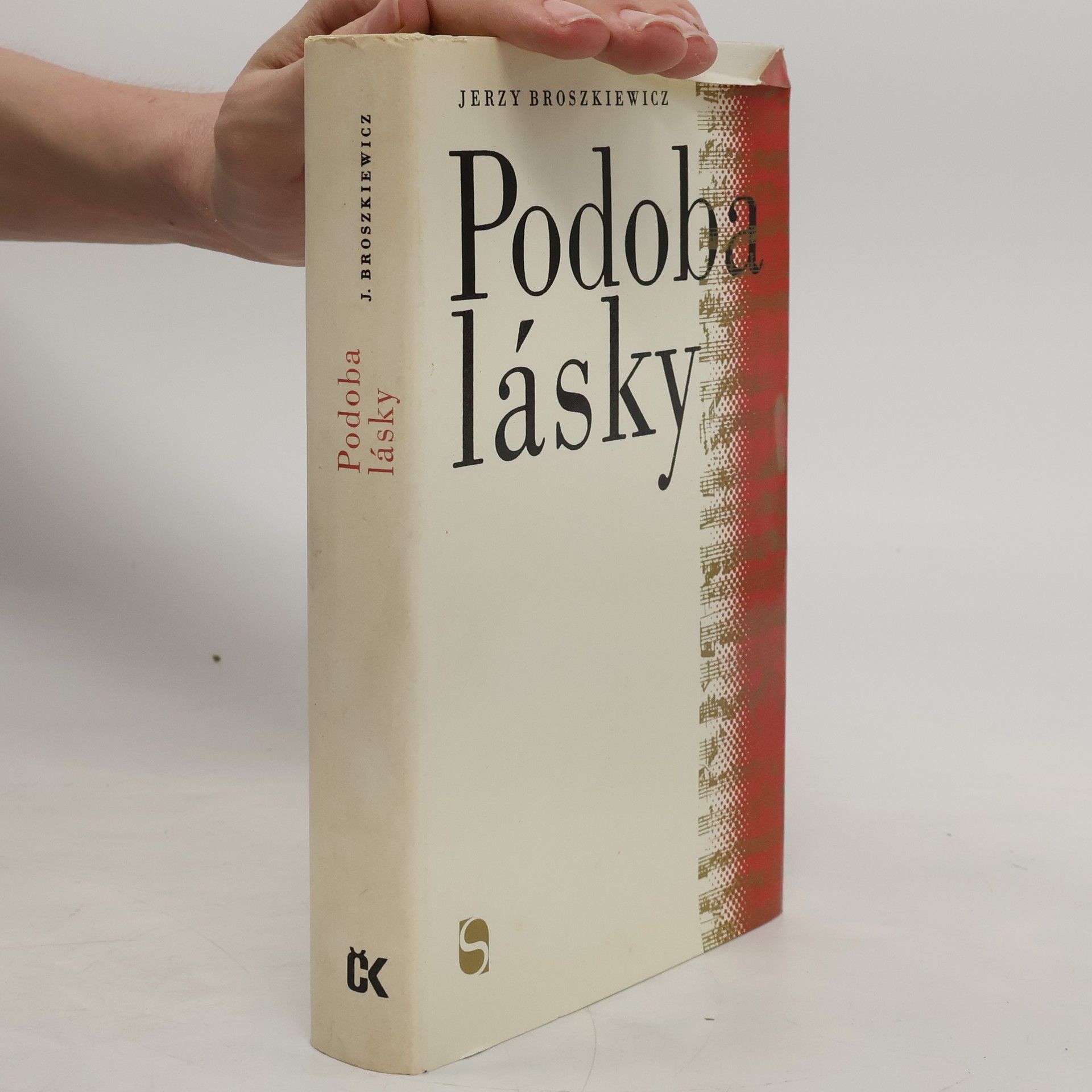 Podoba lásky