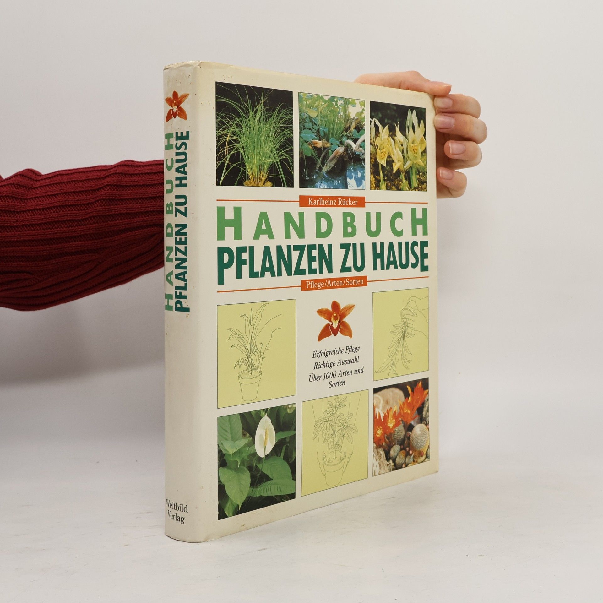 Karlheinz Rücker Handbuch Pflanzen zu Hause