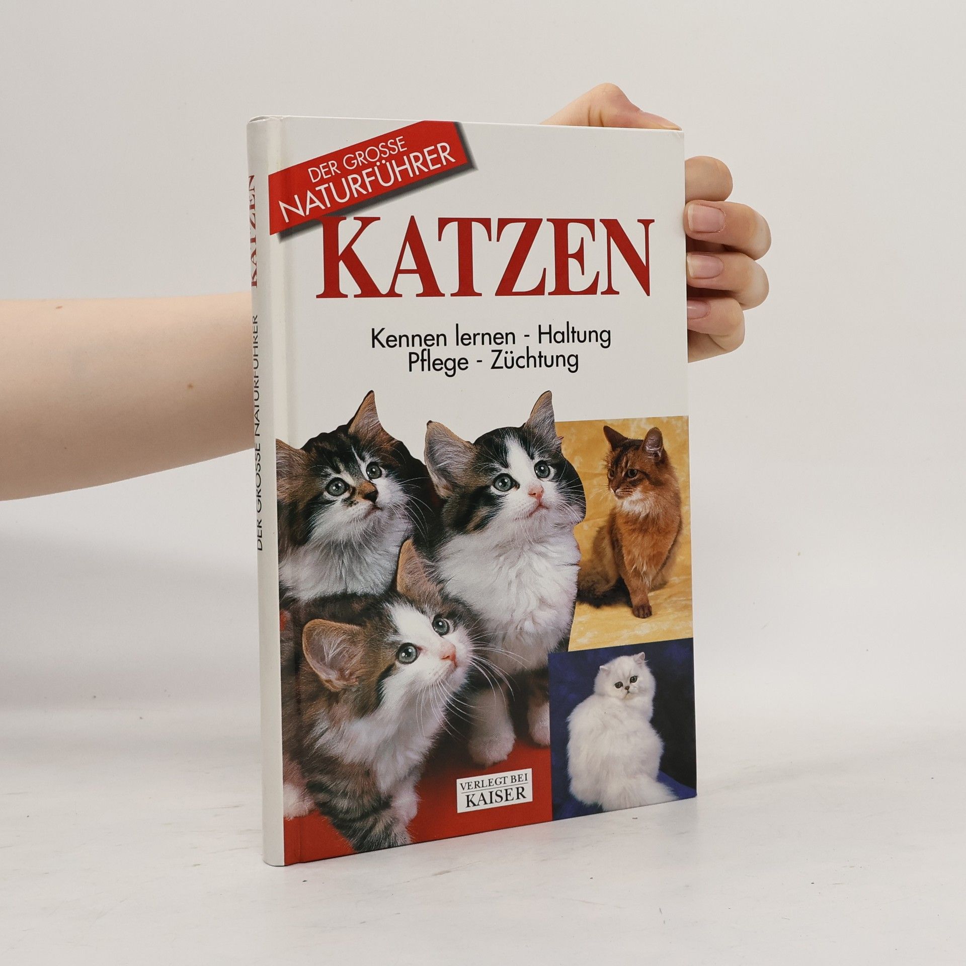 Auteurscollectief Katzen. Kennen lernen, Haltung, Pflege, Züchtung