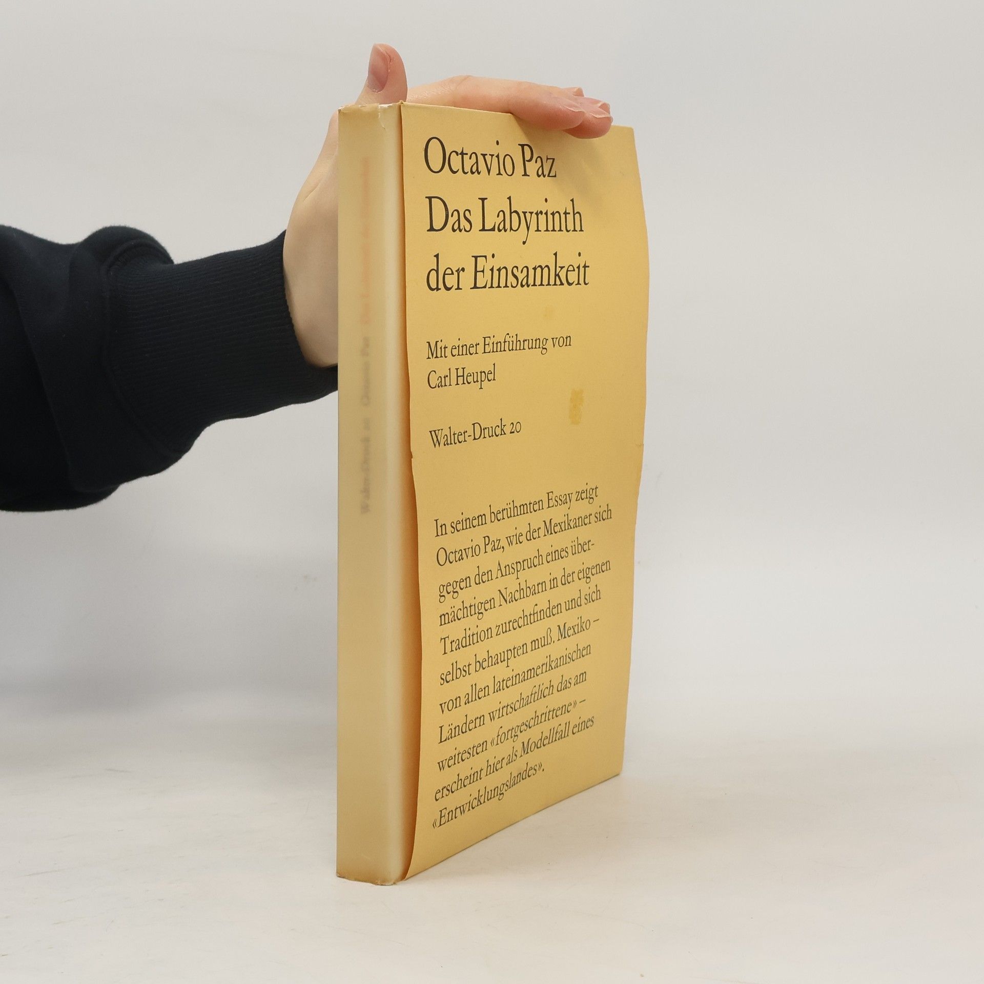 Octavio Paz Das Labyrinth der Einsamkeit
