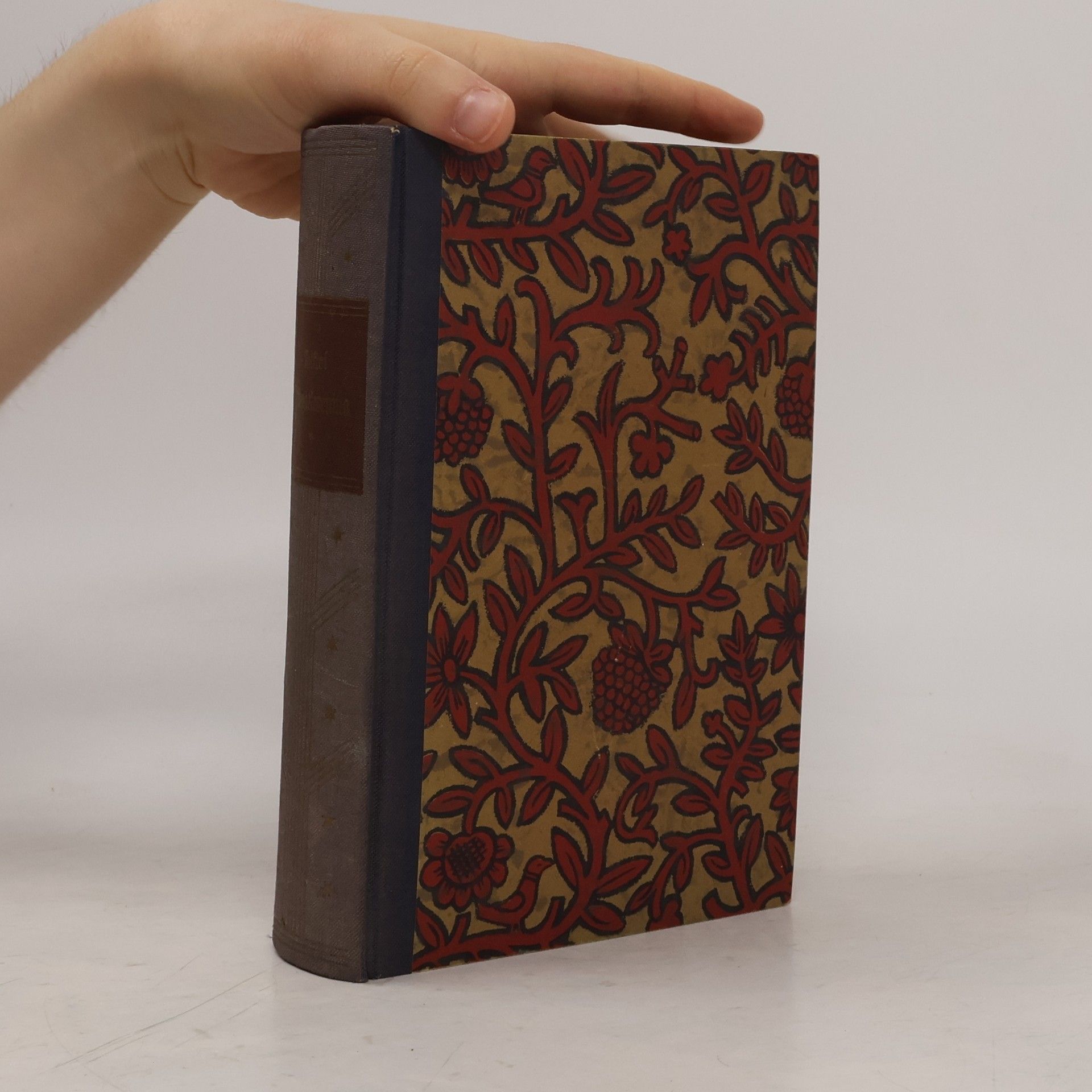 Lew Nikolajewitsch Tolstoi Anna Karenina I