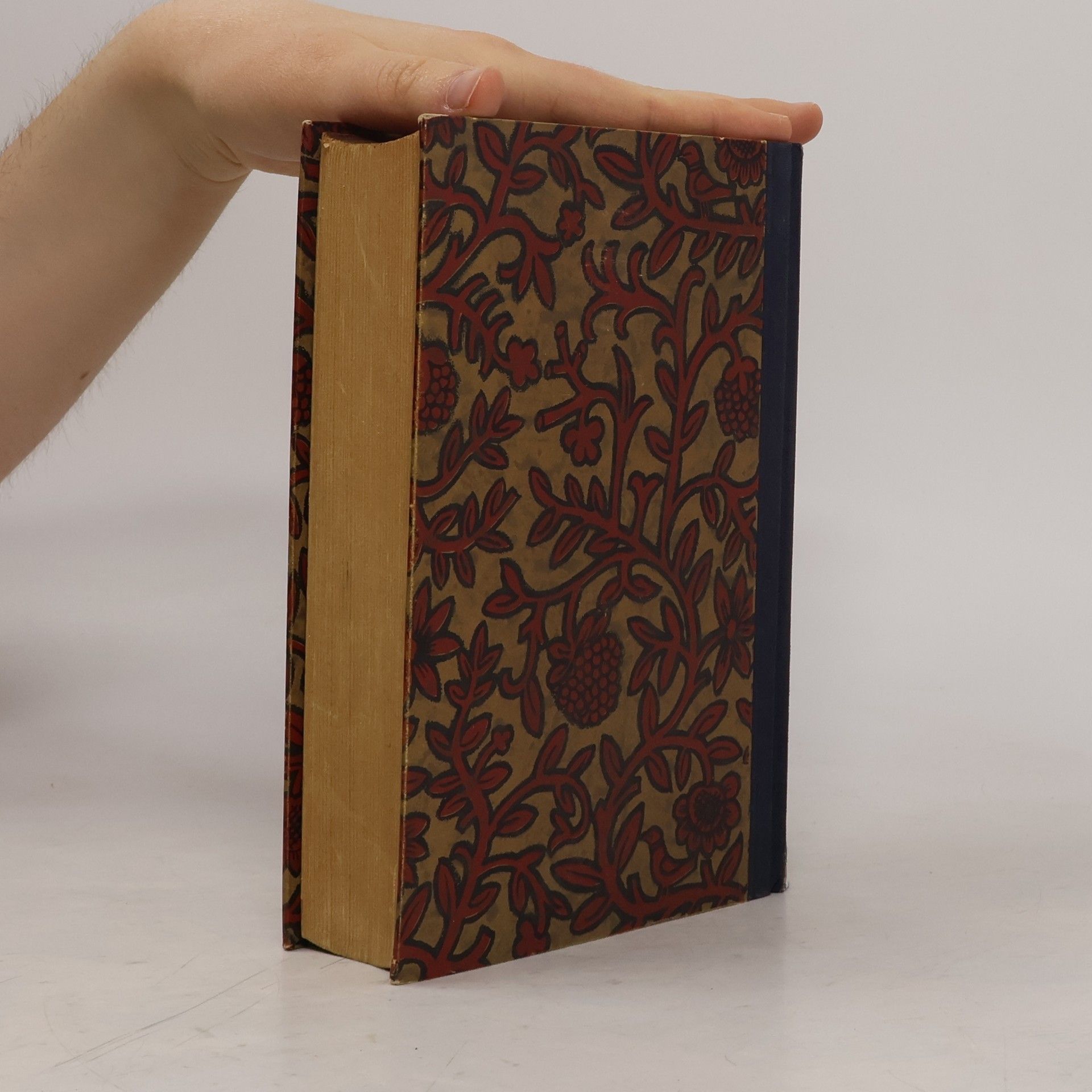 Lew Nikolajewitsch Tolstoi Anna Karenina I