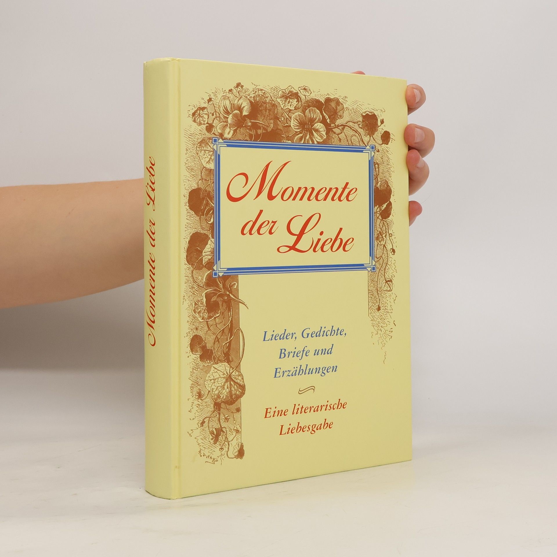 Kolektiv autorů Momente der Liebe