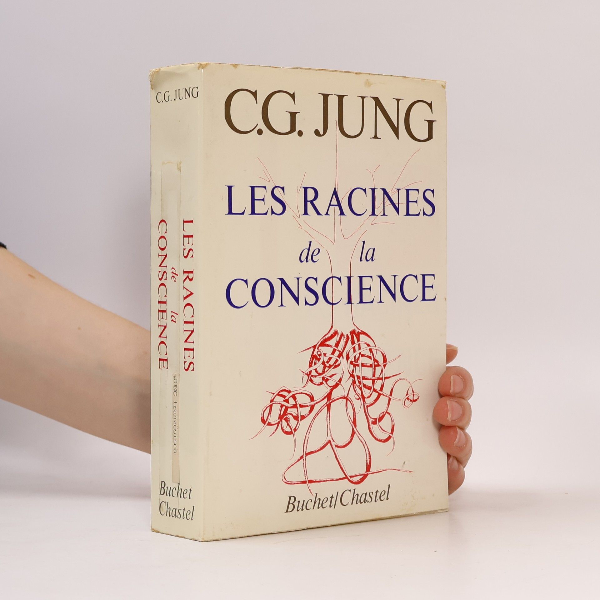 Carl Gustav Jung Les racines de la conscience