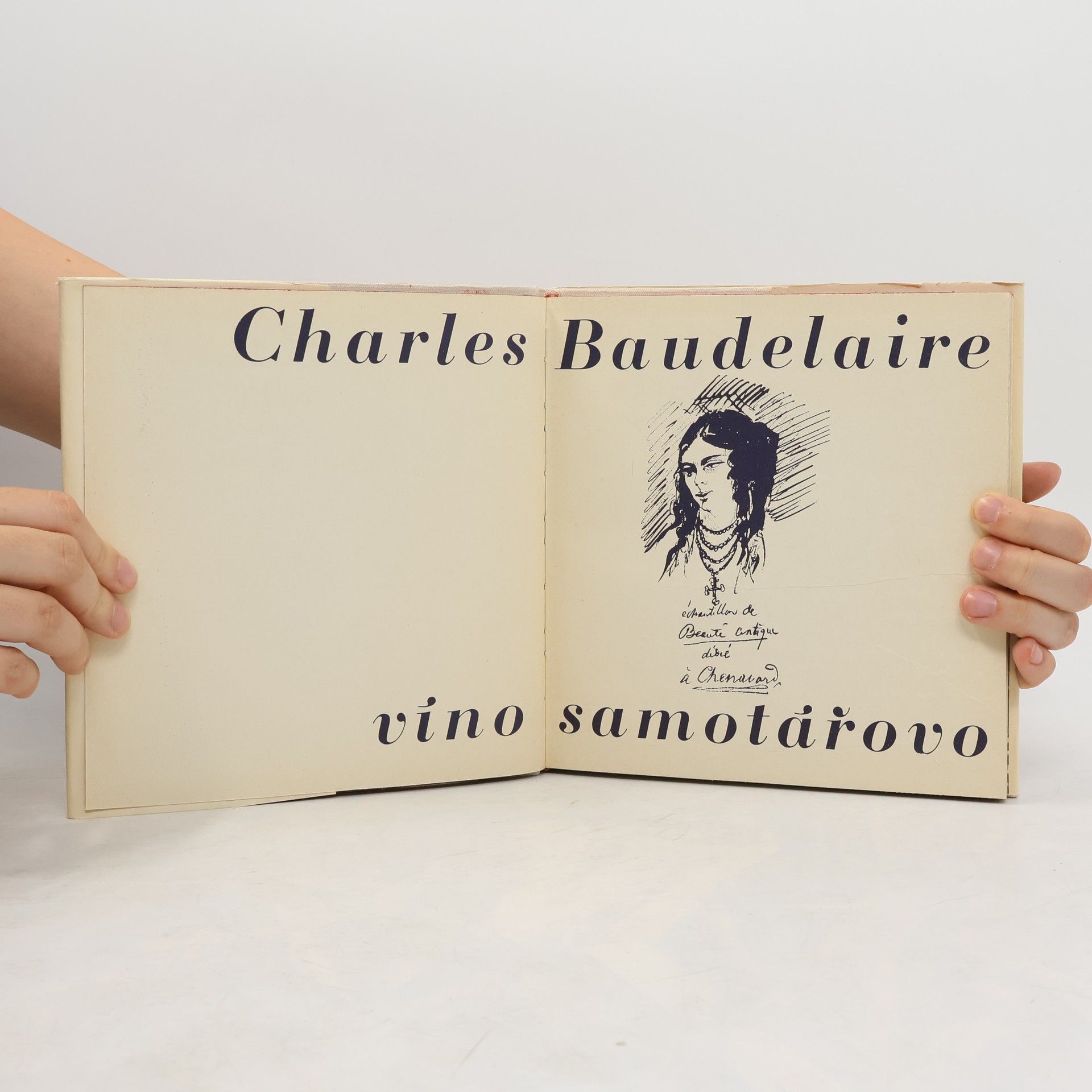 Charles Baudelaire Víno samotářovo