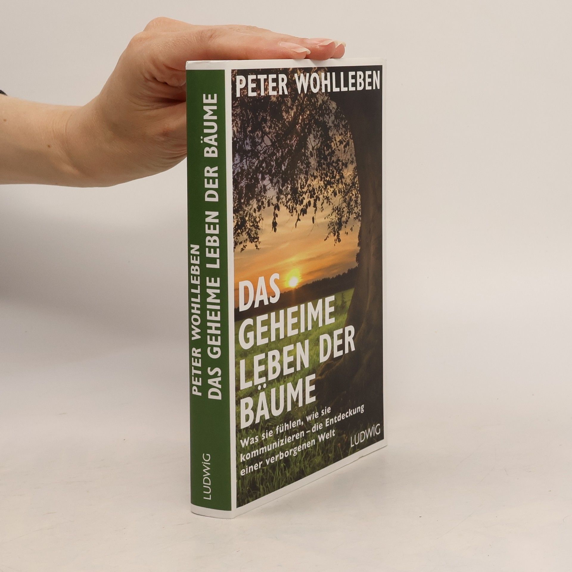 Peter Wohlleben Das geheime Leben der Bäume