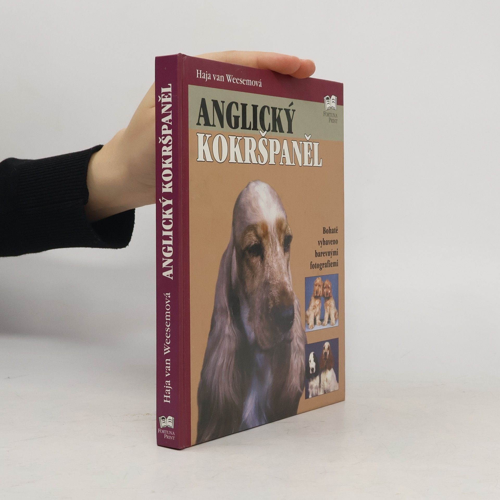 Haja van Wessem Anglický kokršpaněl