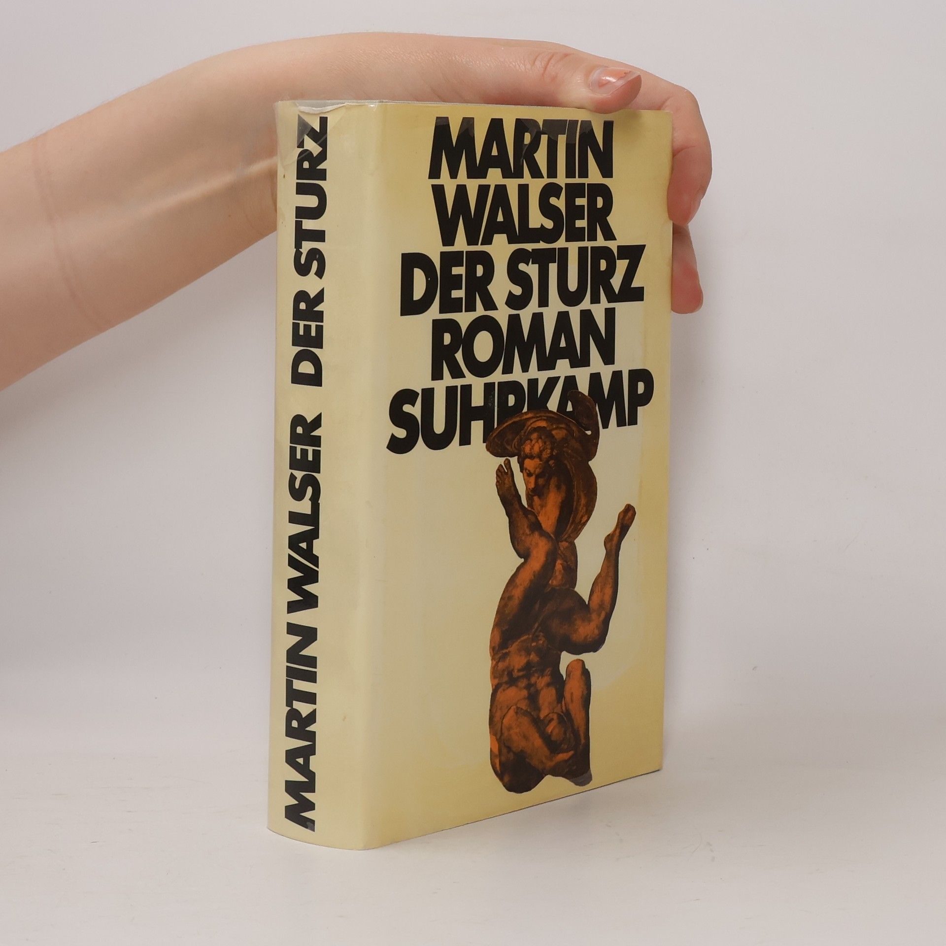 Martin Johannes Walser Der Sturz
