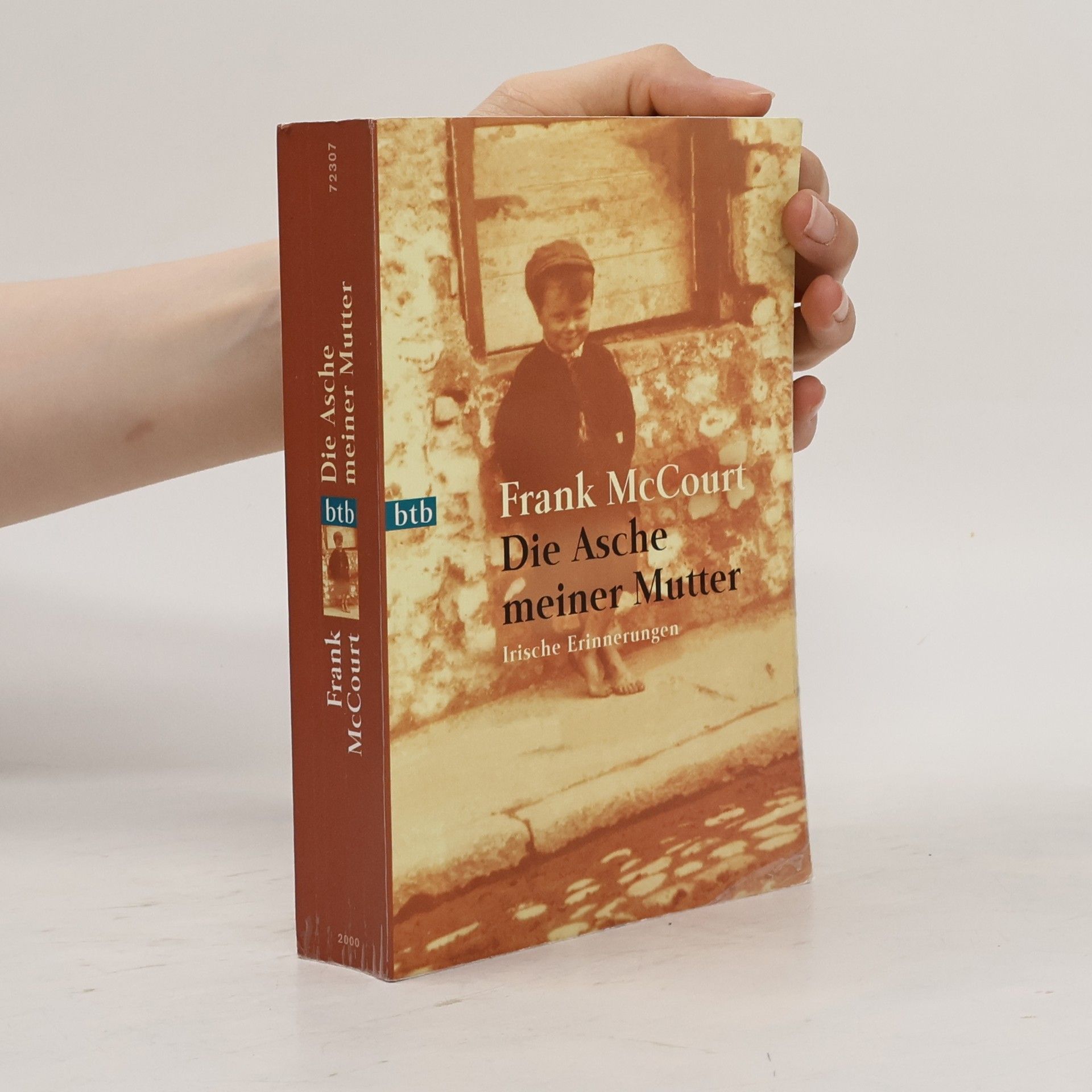 Frank McCourt Die Asche meiner Mutter