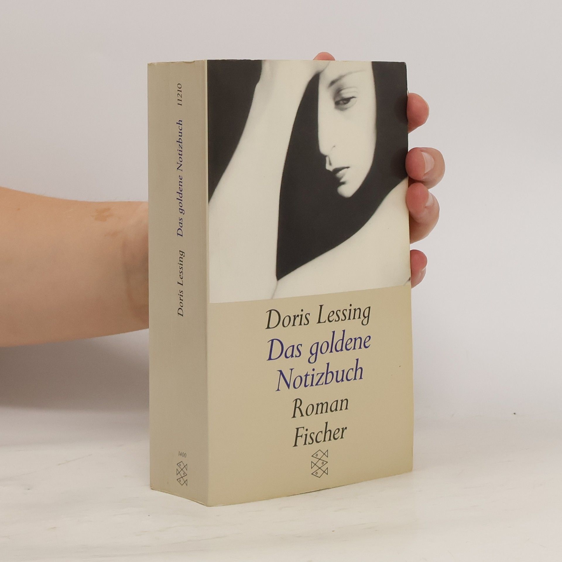 Doris Lessing Das goldene Notizbuch