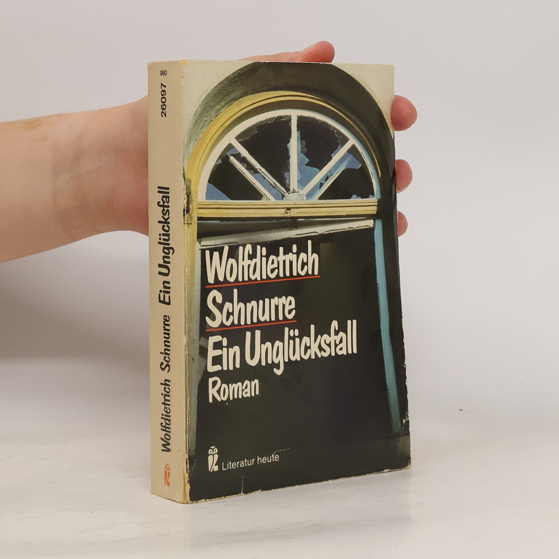 Wolf-Dietrich Schnurre Ein Unglücksfall : Roman