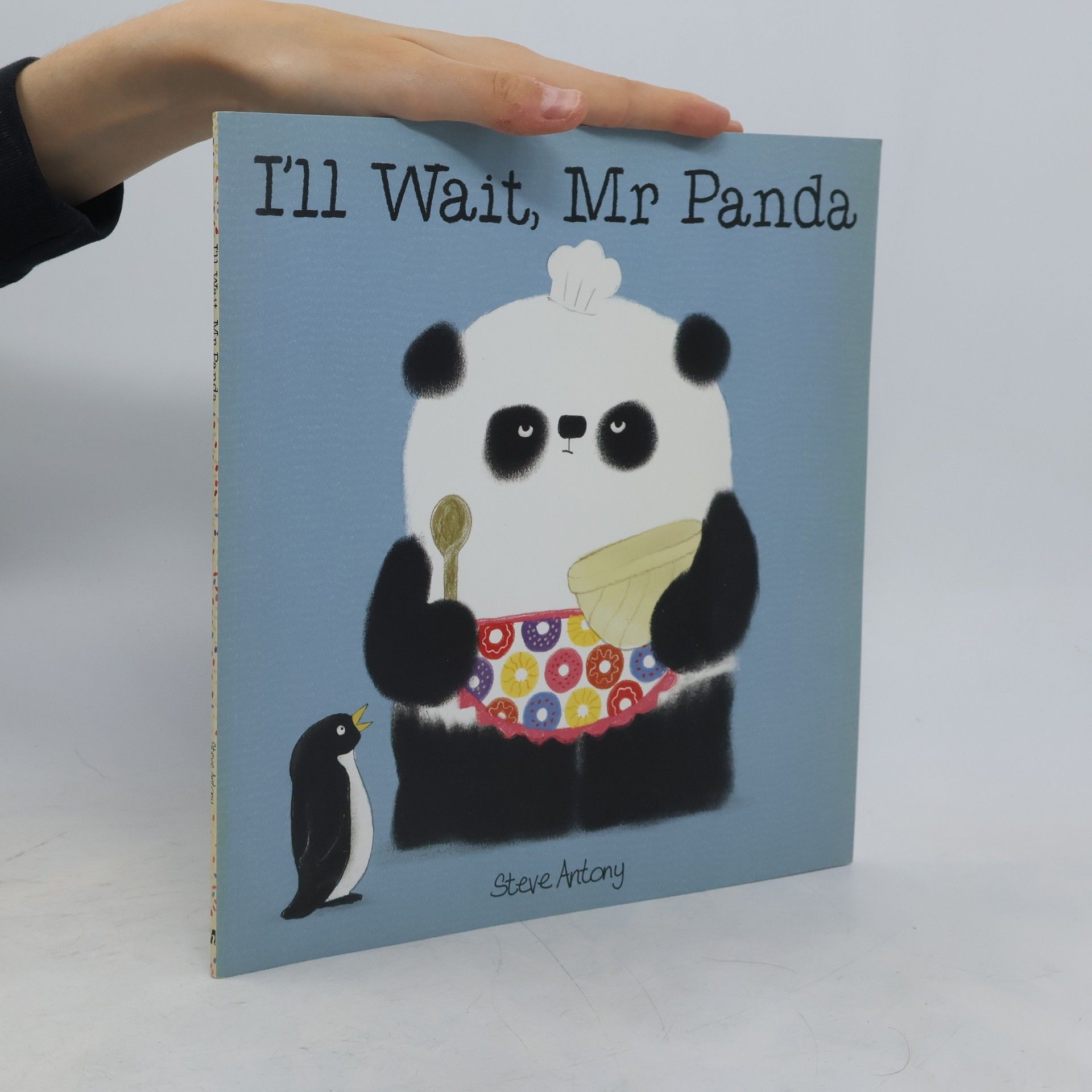 Steve Antony I'll Wait, Mr Panda