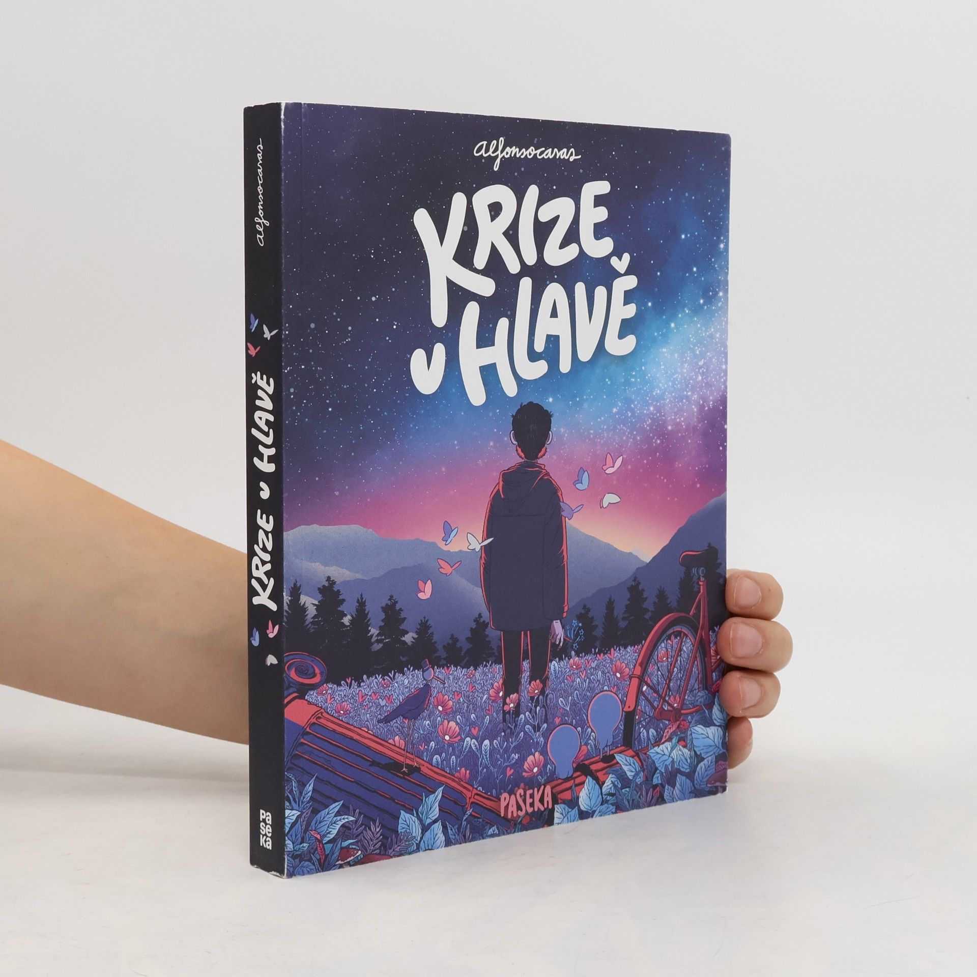 Krize v hlavě