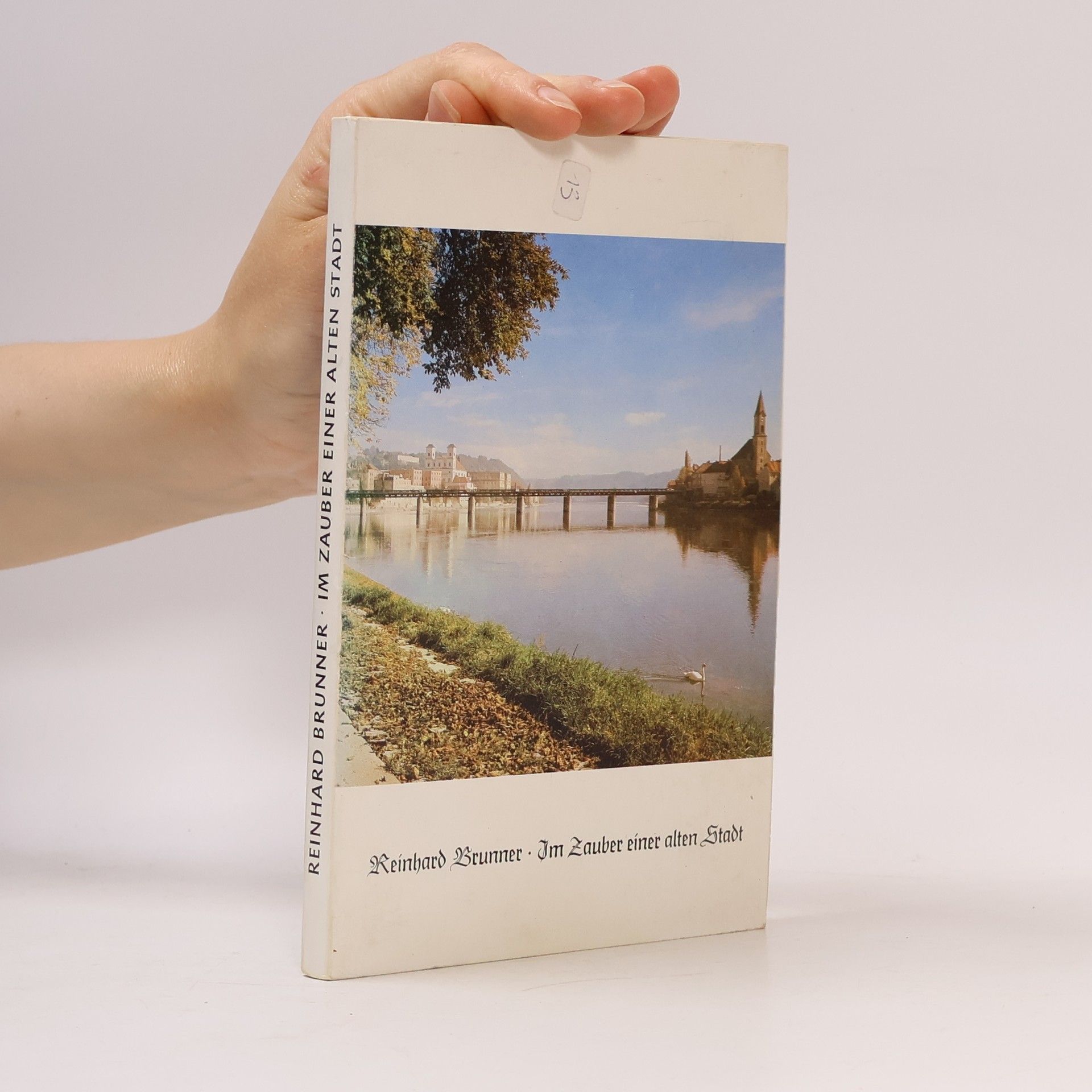 Reinhard Brunner Im Zauber Einer Alten Stadt