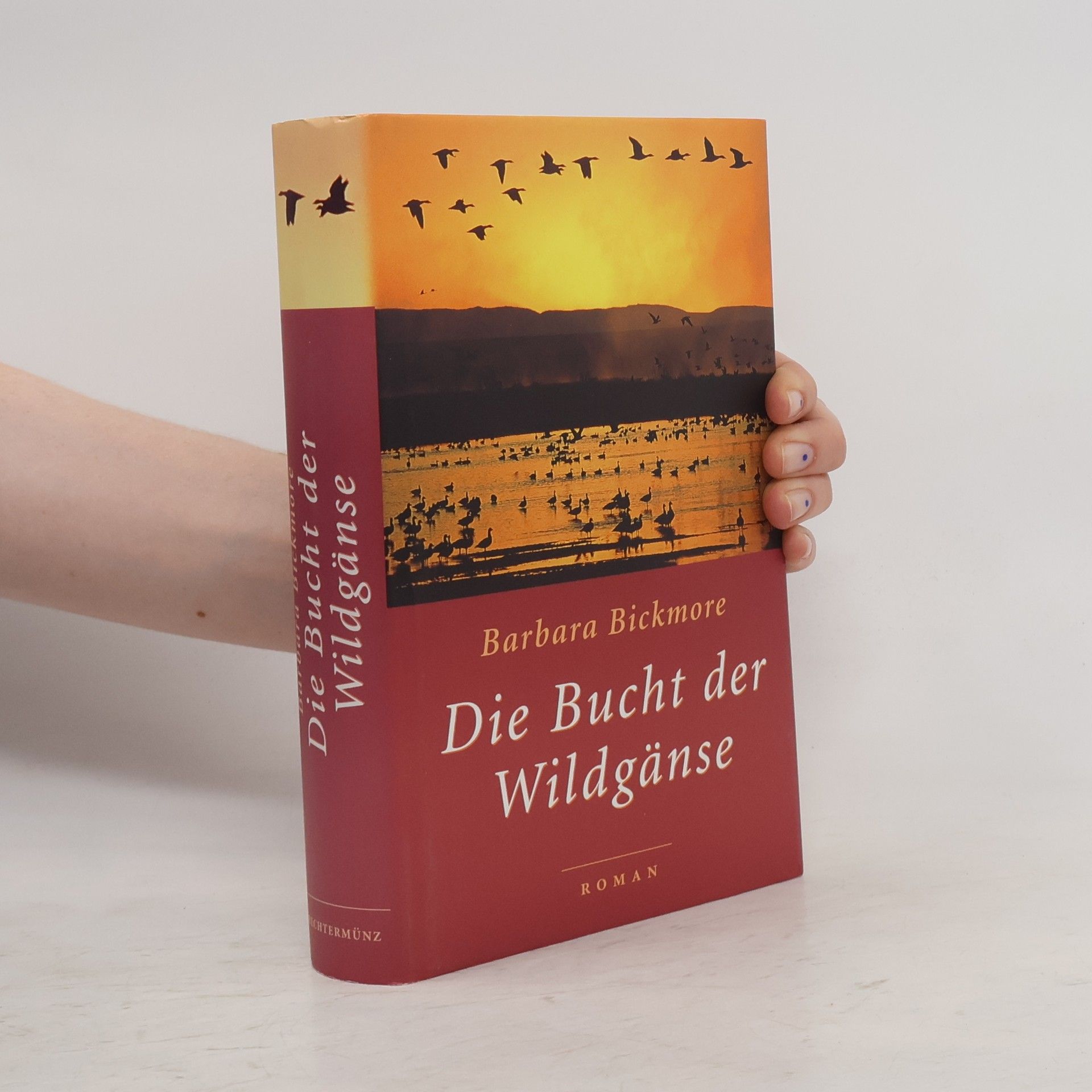 Barbara Bickmore Die Bucht der Wildgänse