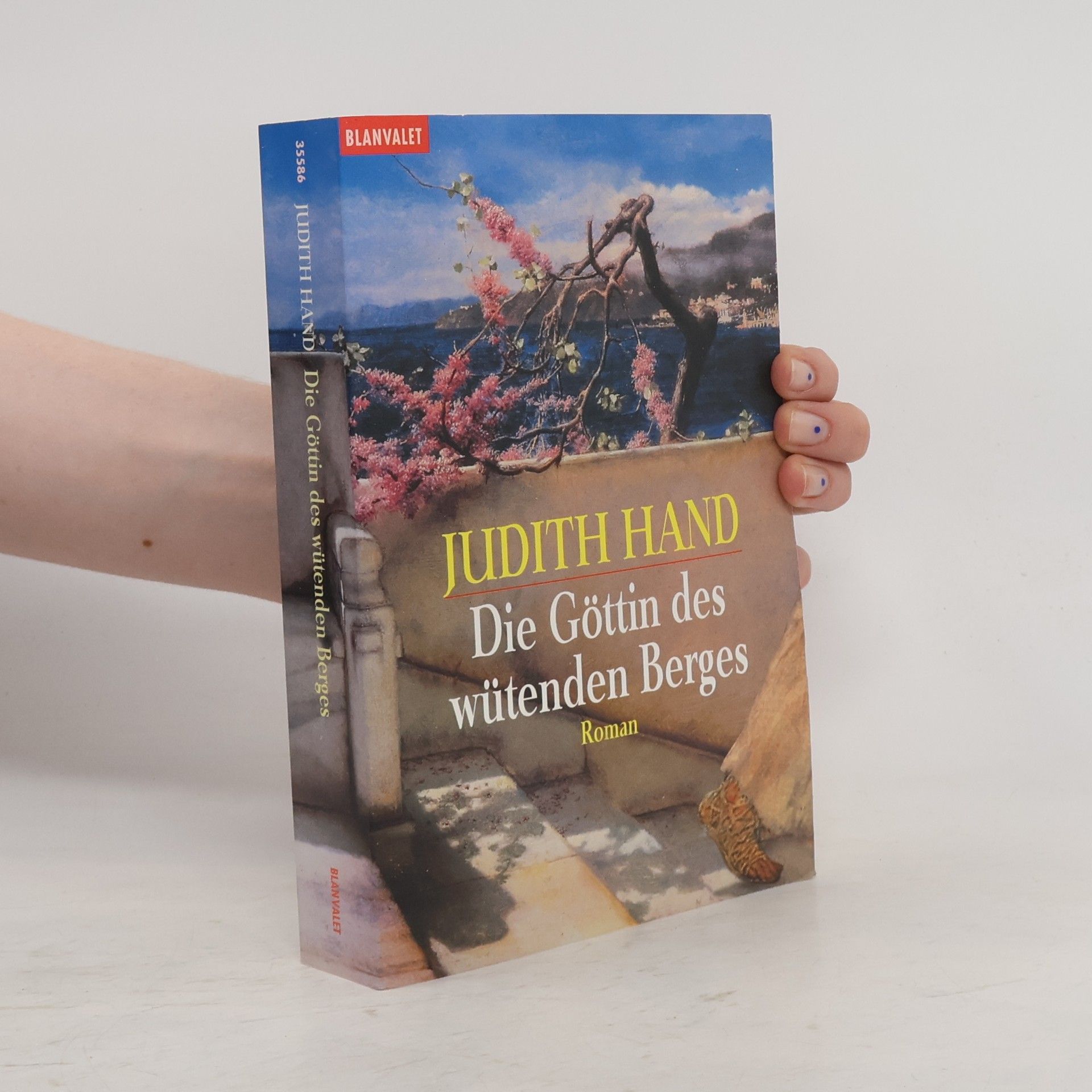 Judith Hand Die Göttin des wütenden Berges