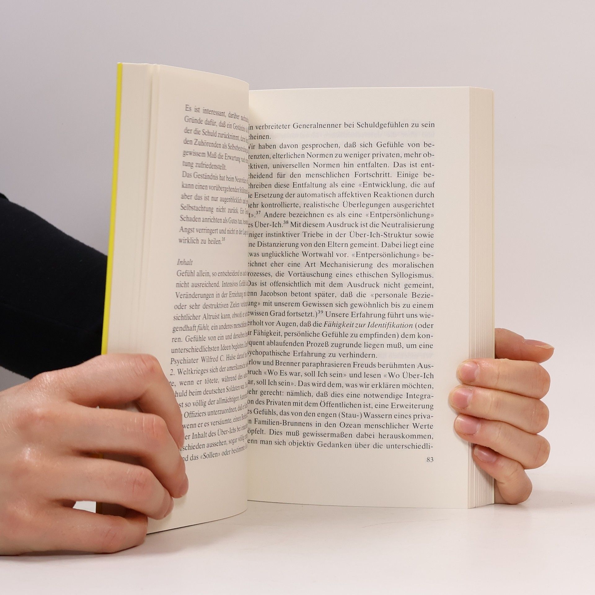 Edward von Stein Schuld im Verständnis der Tiefenpsychologie und Religion