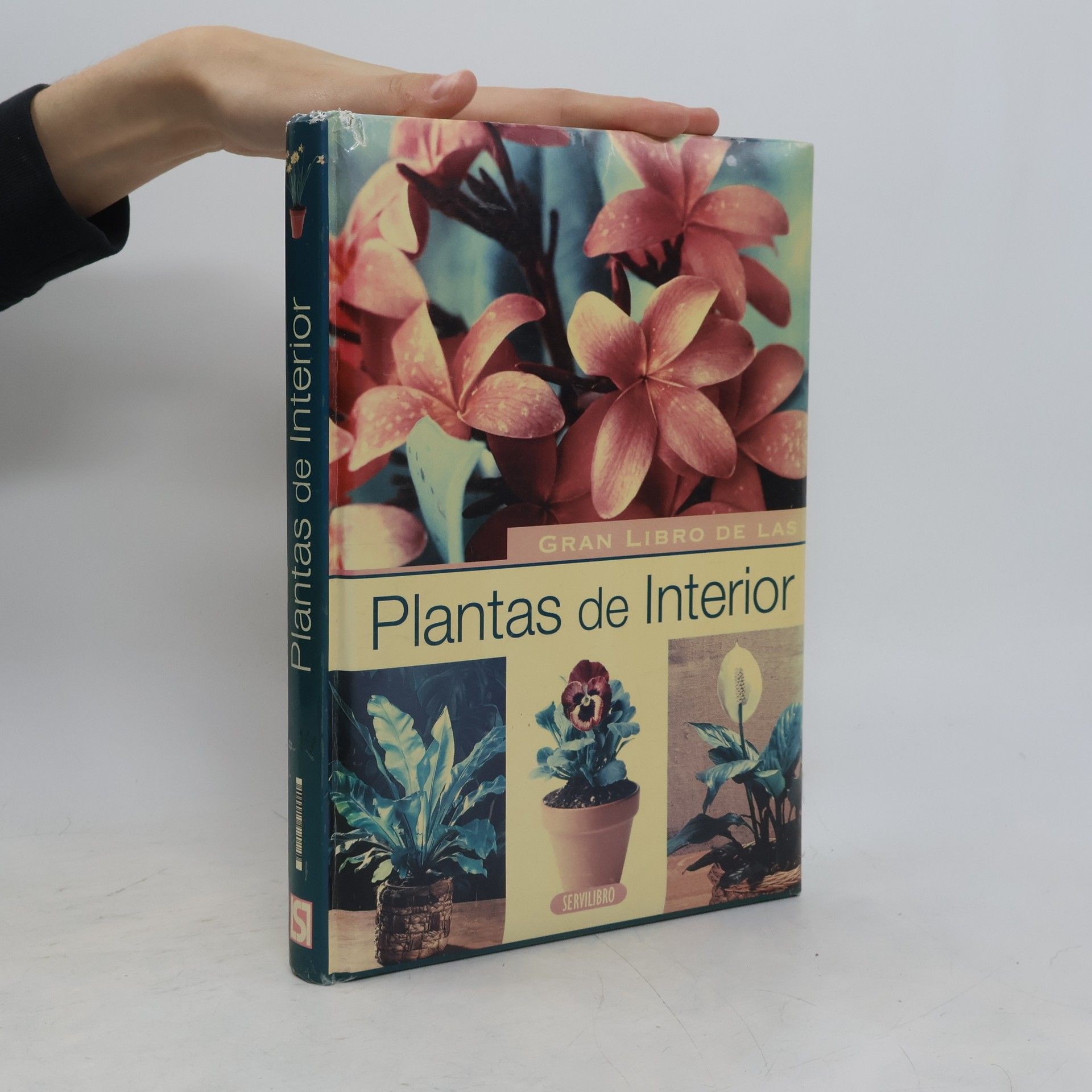 Susaeta Ediciones Gran Libro de Las Plantas de Interior