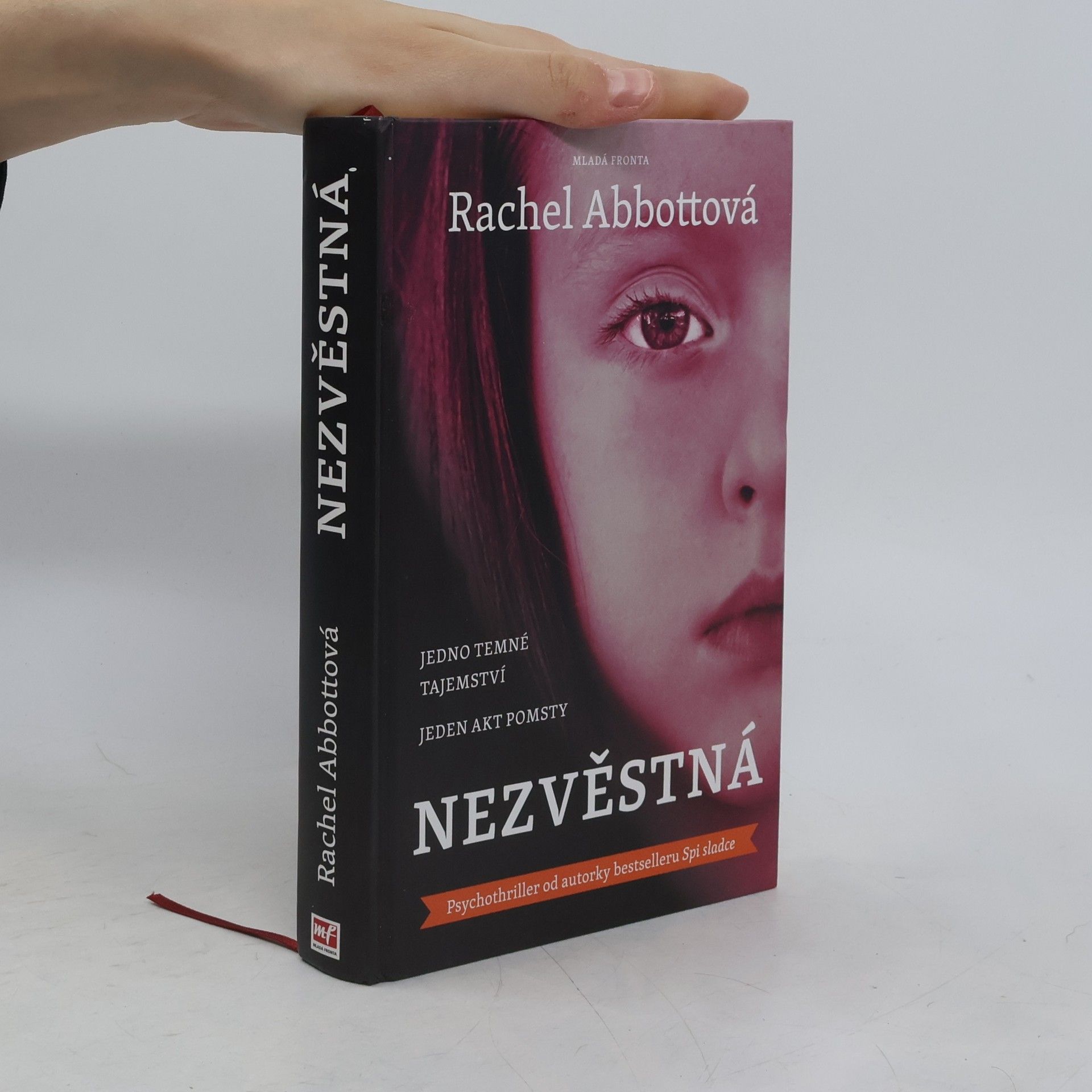Rachel Abbott Nezvěstná
