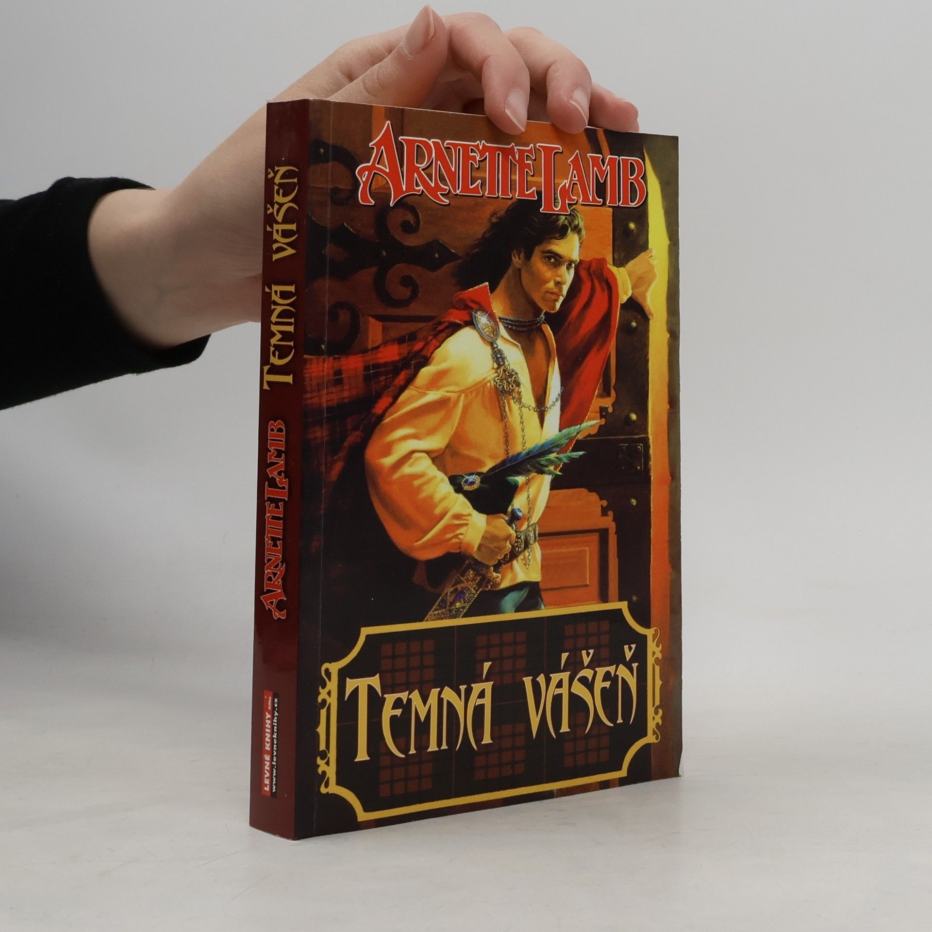 Arnette Lamb Temná vášeň