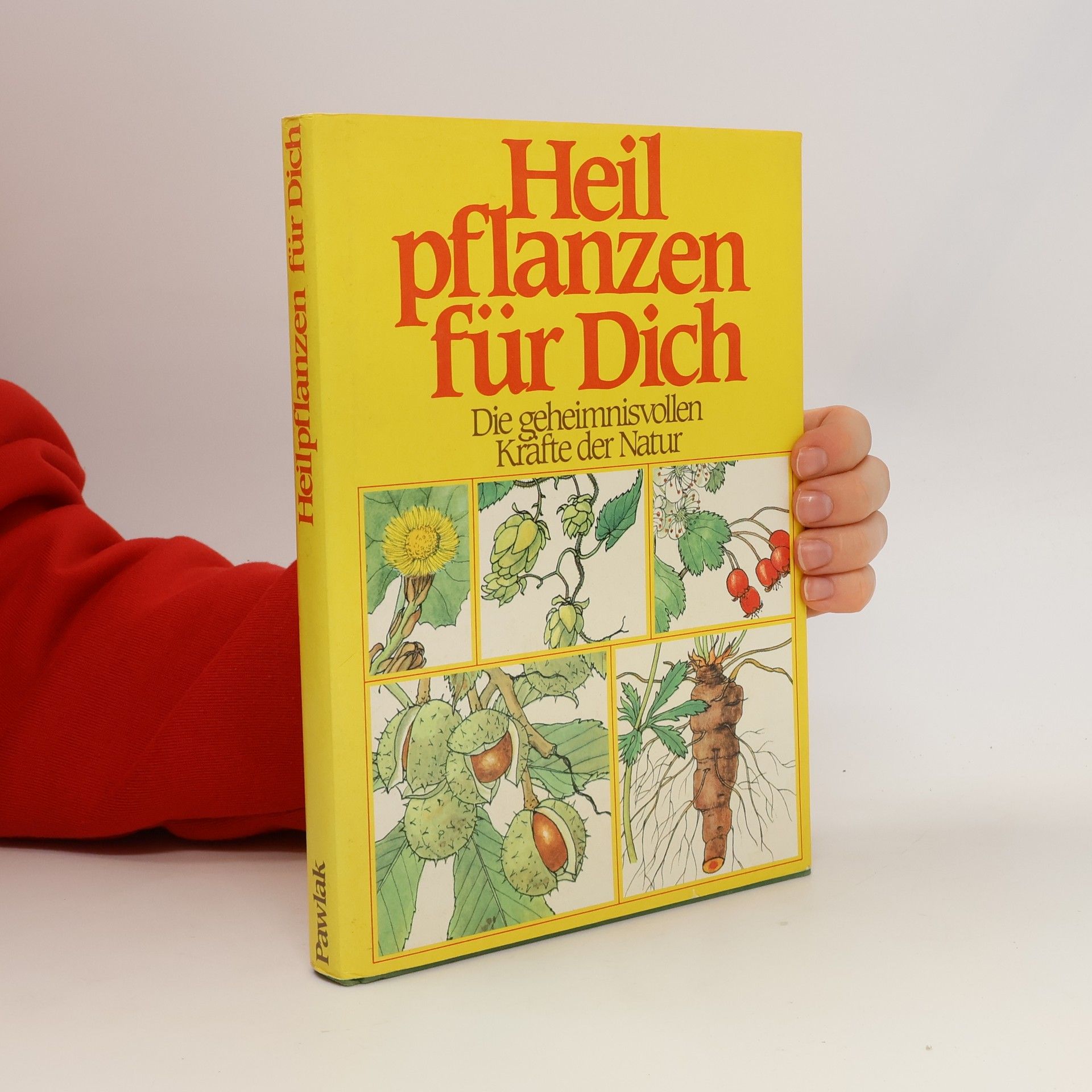 Robert Quinche Heilpflanzen für dich