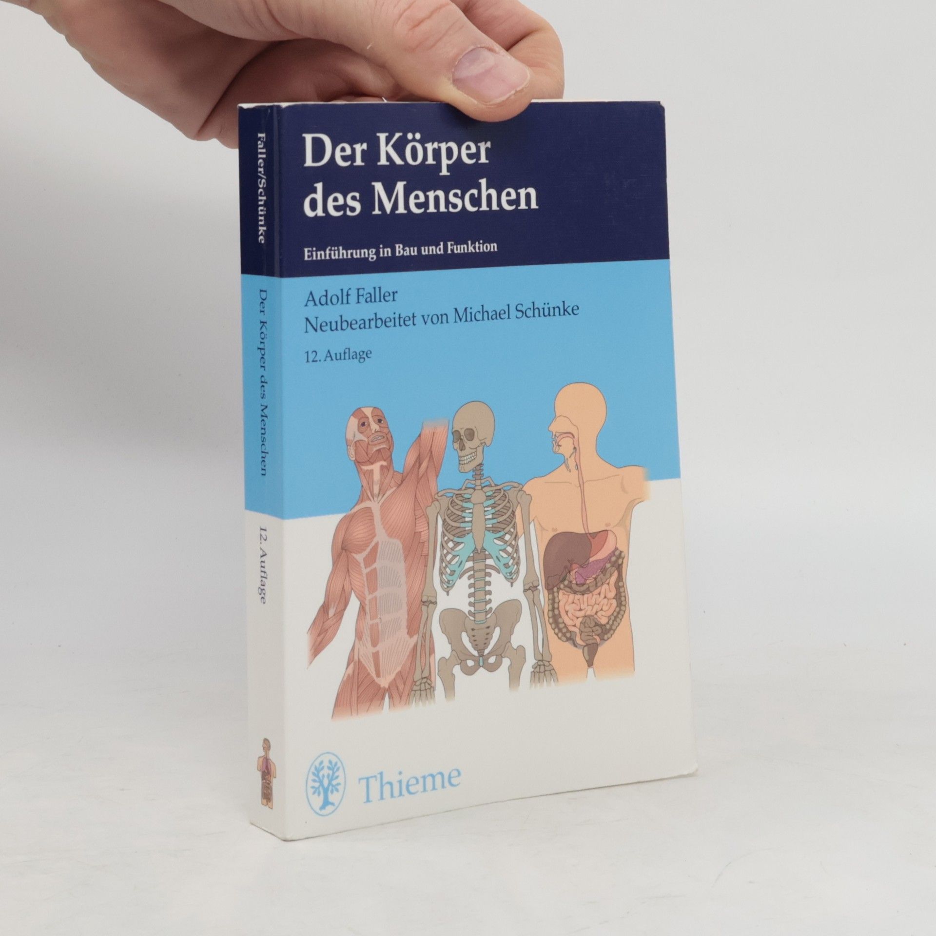 Adolf Faller Der Körper des Menschen