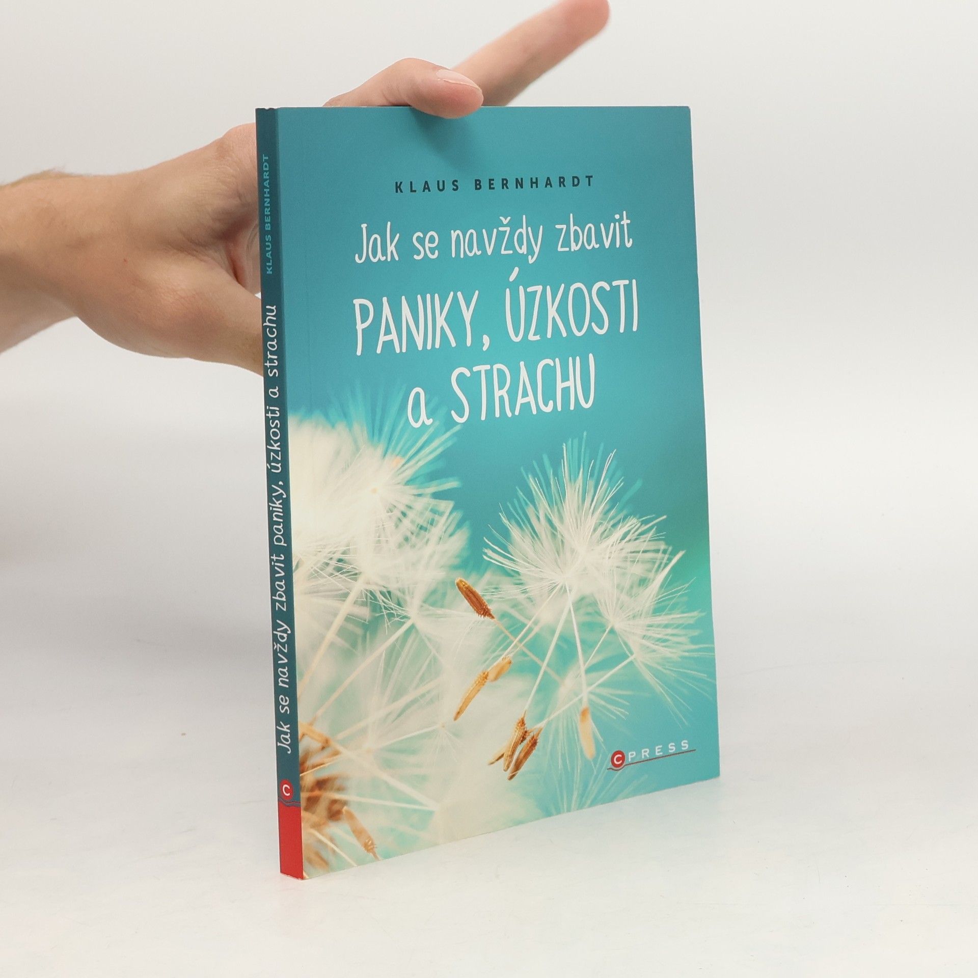 Klaus Bernhardt Jak se navždy zbavit paniky, úzkosti a strachu