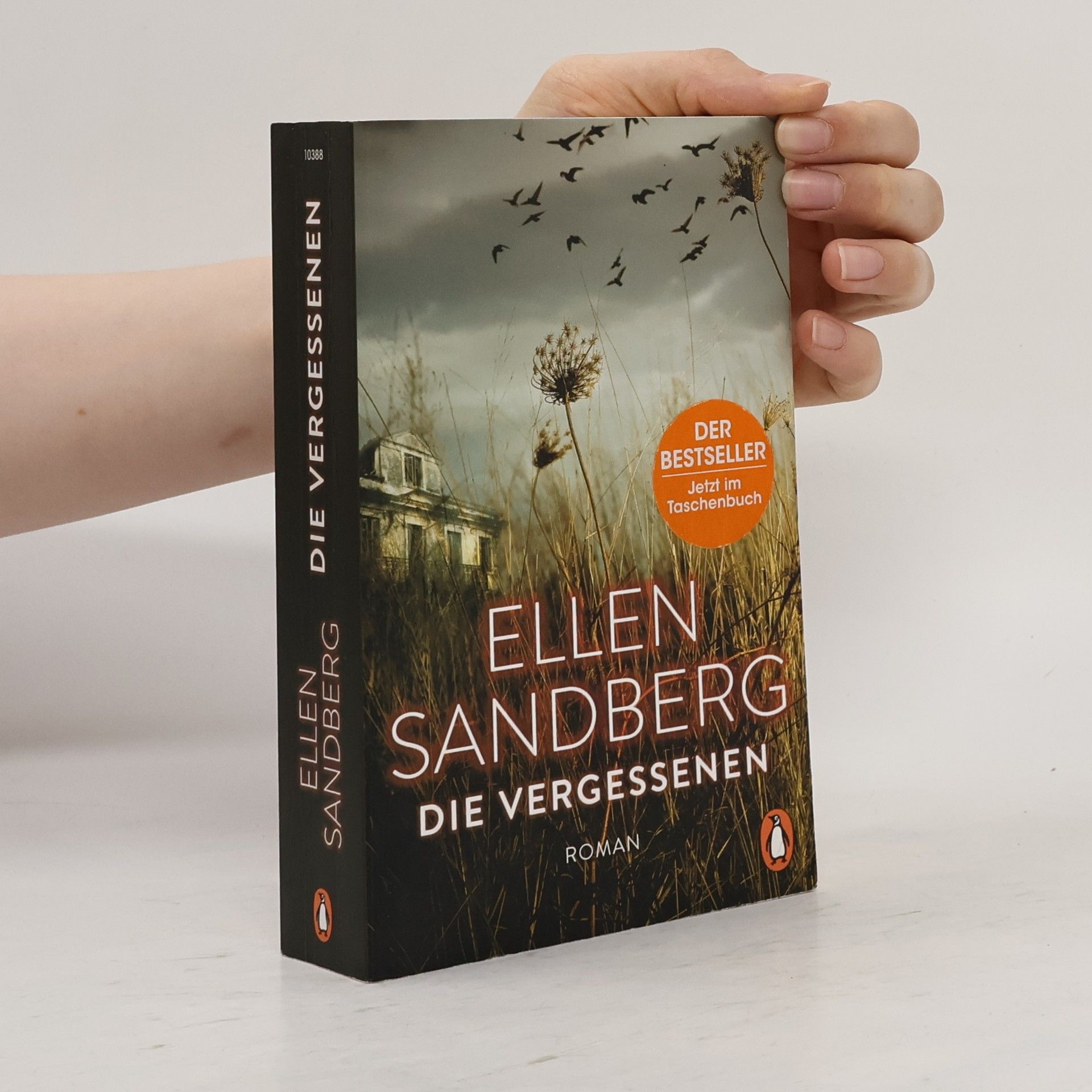 Ellen Sandberg Die Vergessenen