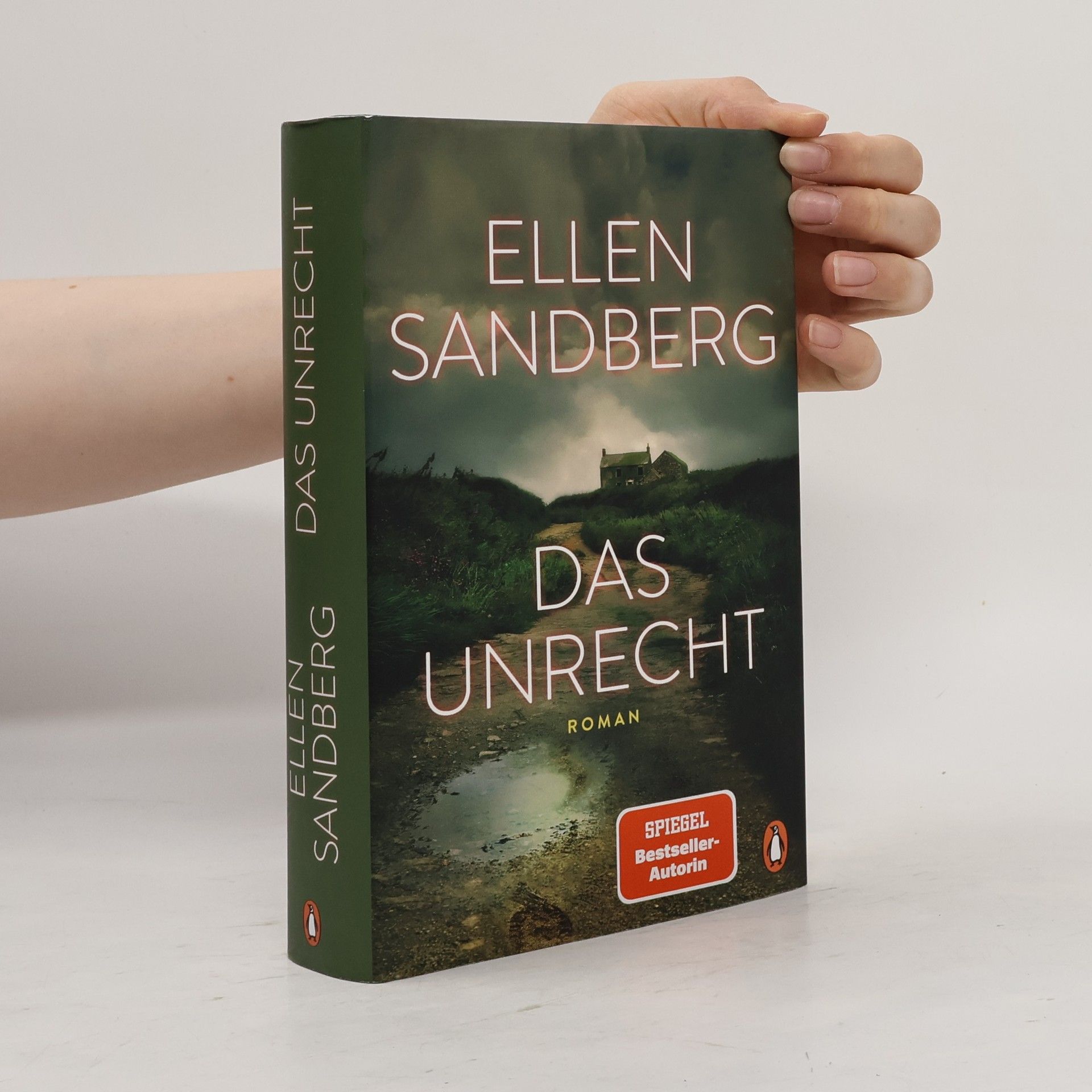 Ellen Sandberg Das Unrecht
