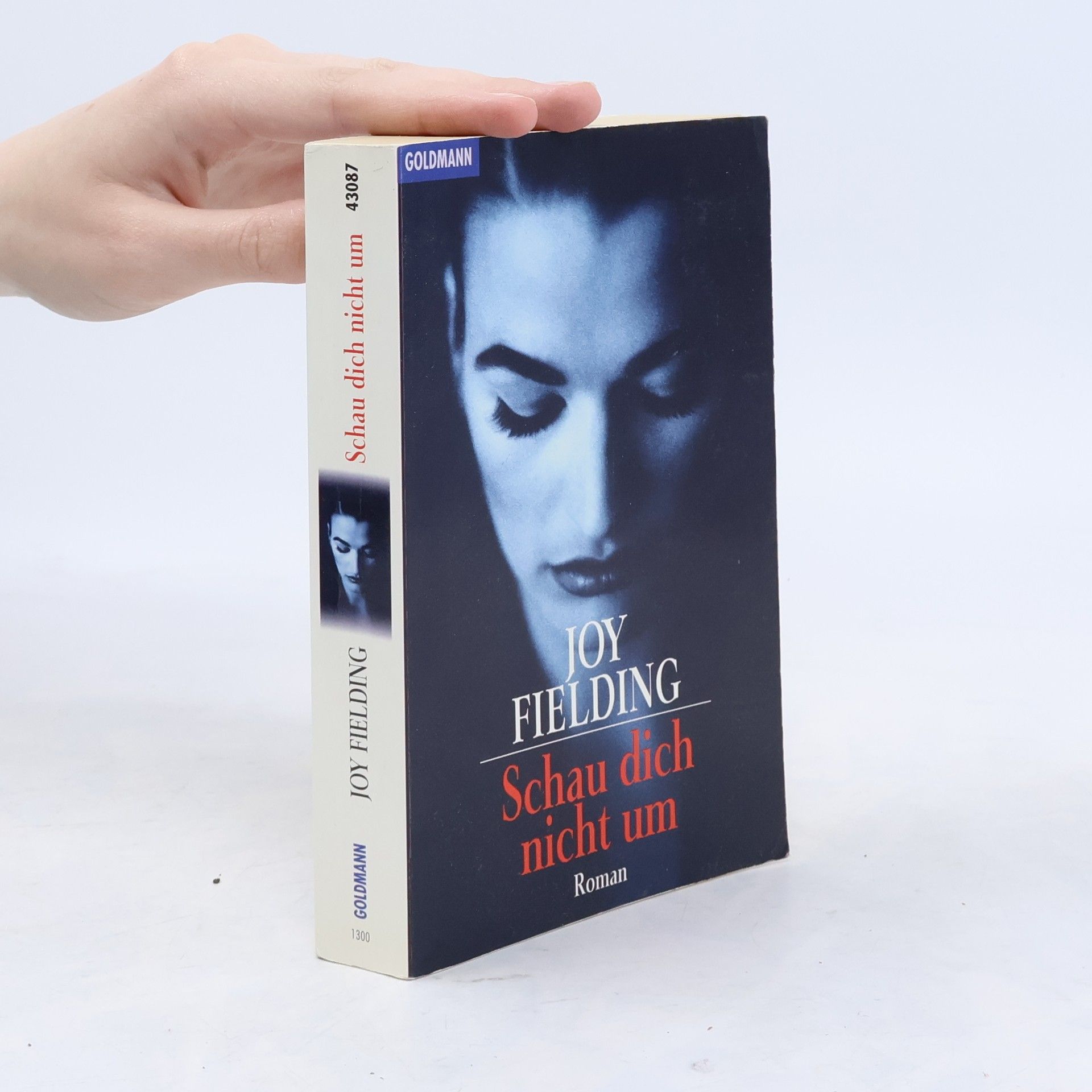 Joy Fielding Schau dich nicht um