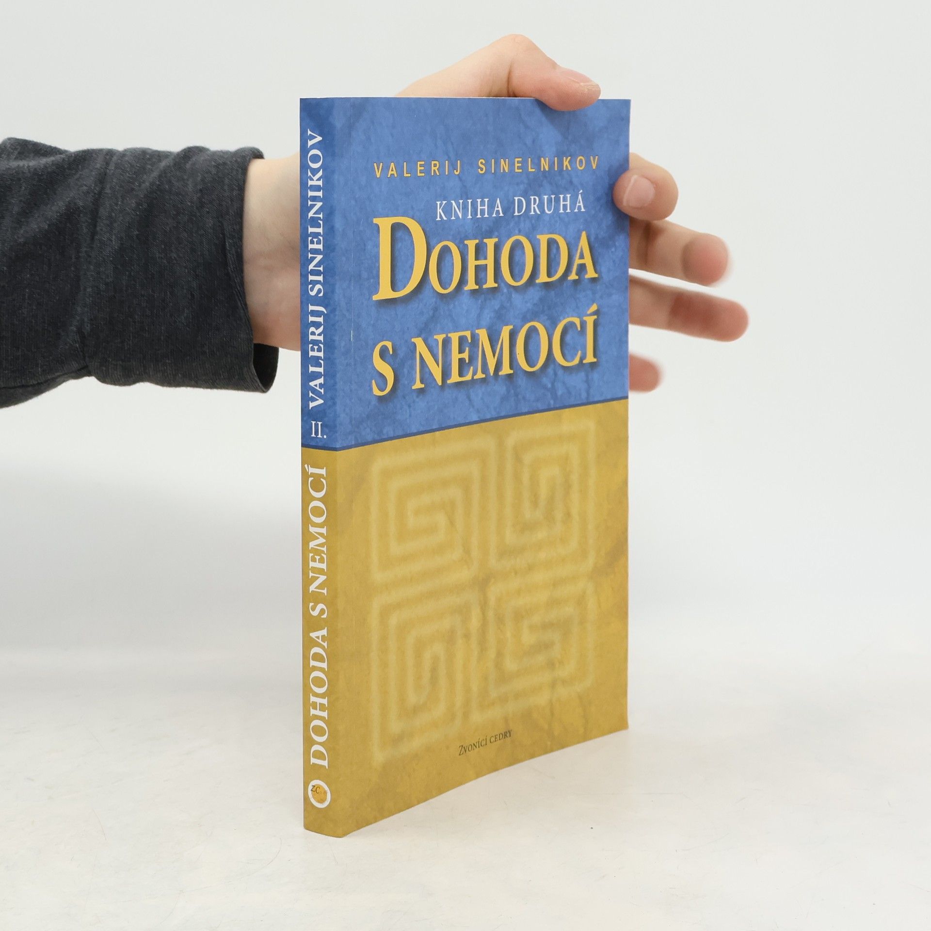 Valerij Vladimirovič Sinel‘nikov Dohoda s nemocí. Kniha druhá