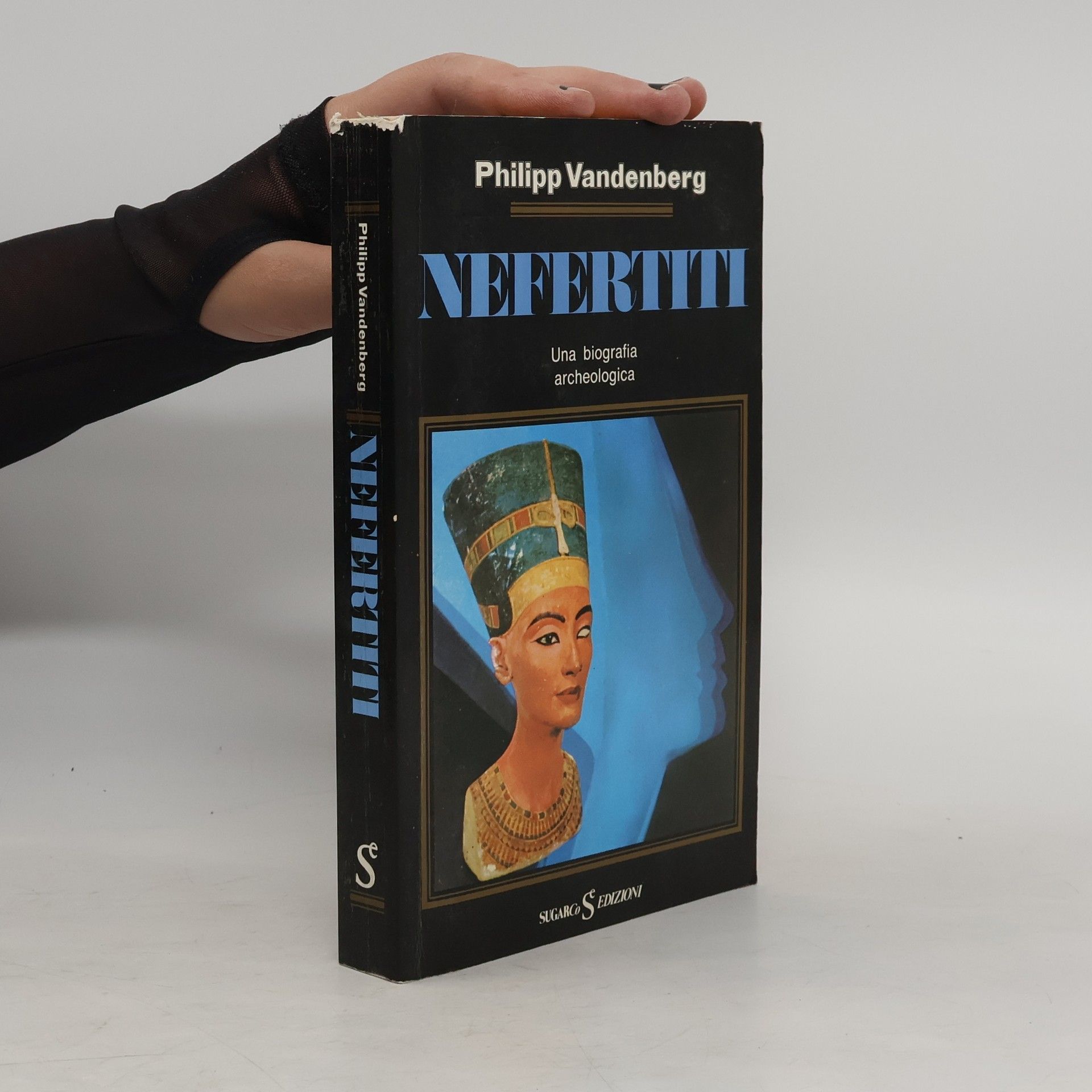 Nefertiti. Una biografia archeologica