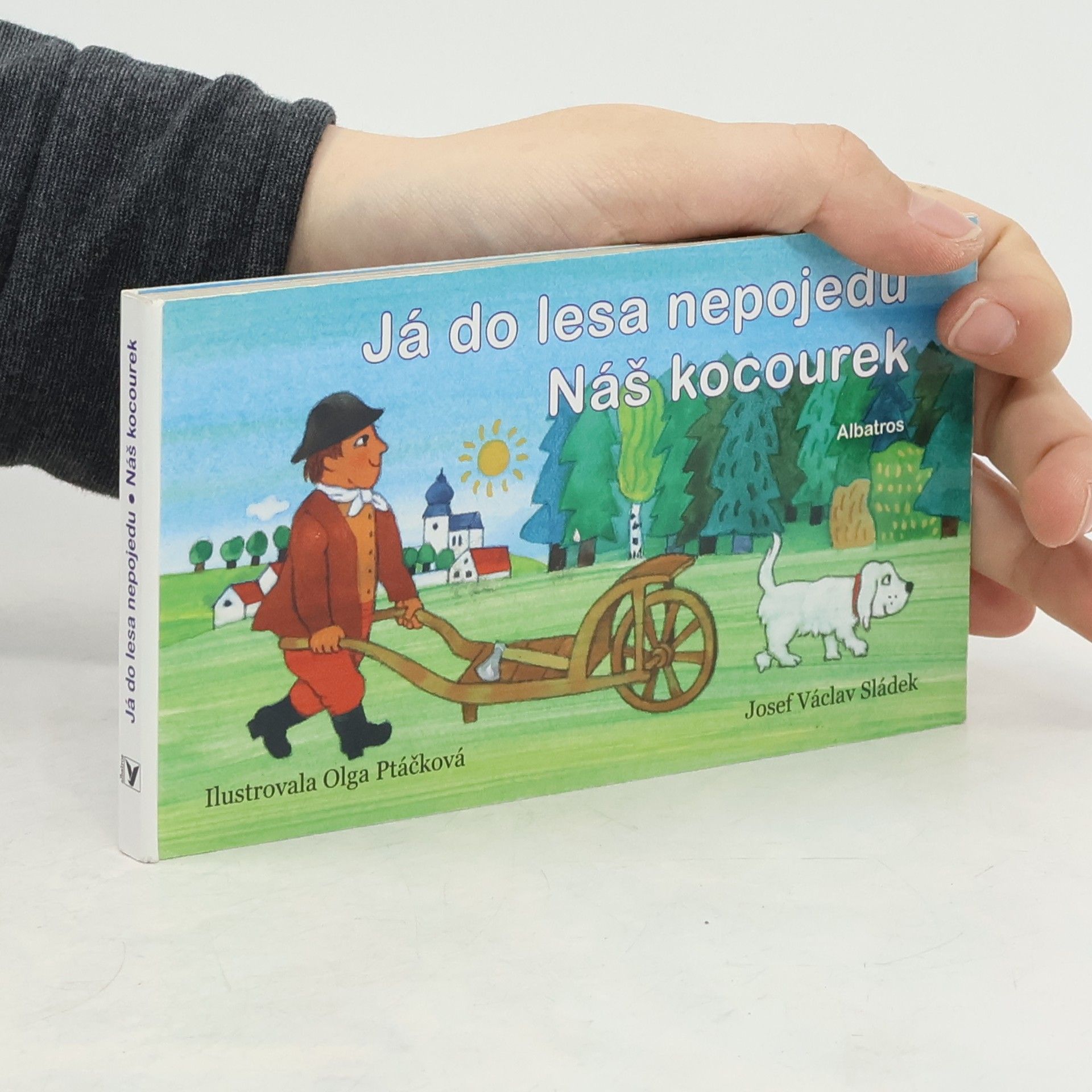 Kolektiv autorů Já do lesa nepojedu