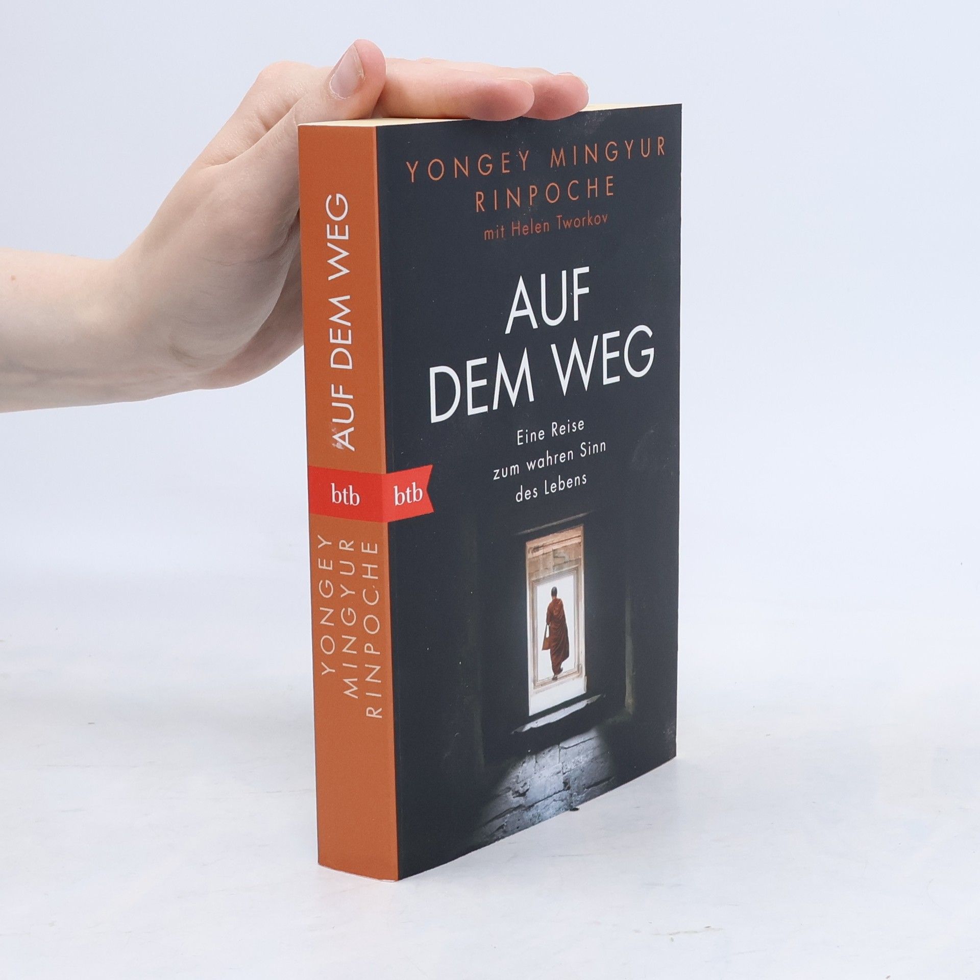 Yongey Mingyur Rinpoche Auf dem Weg