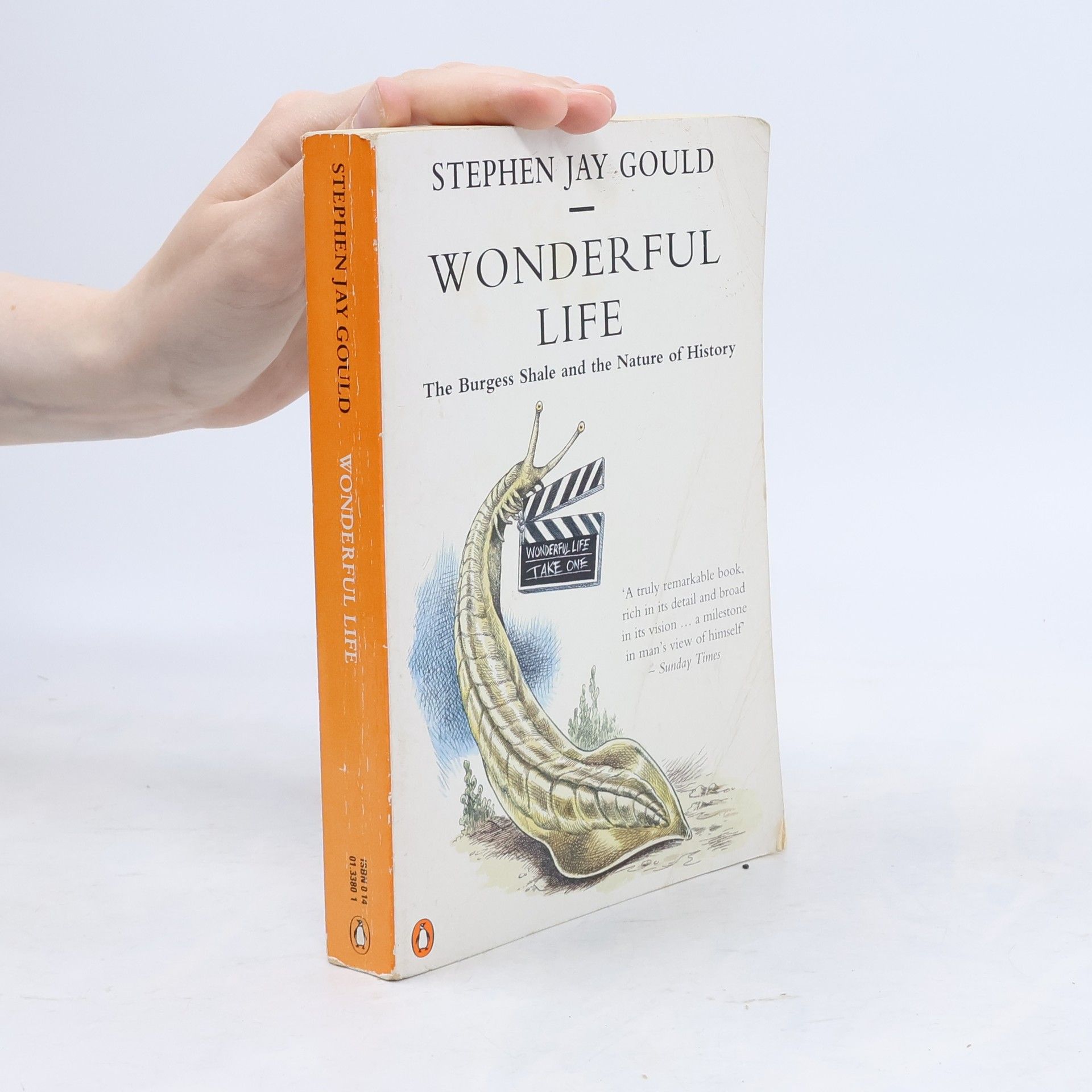 Stephen Jay Gould Wonderful Life