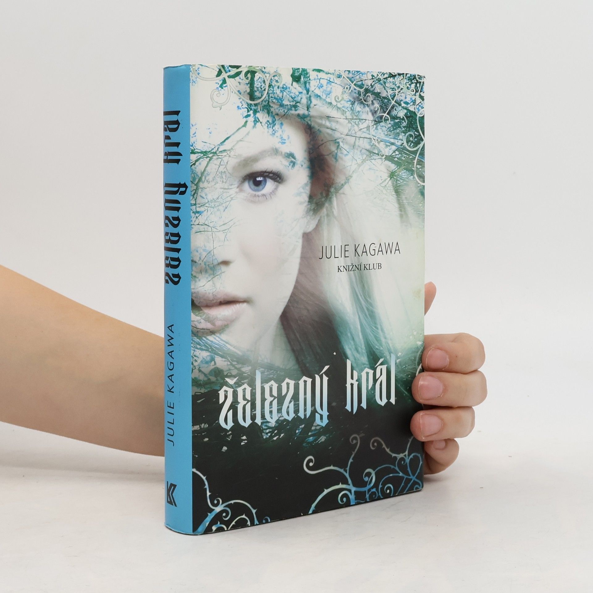 Julie Kagawa Železný král