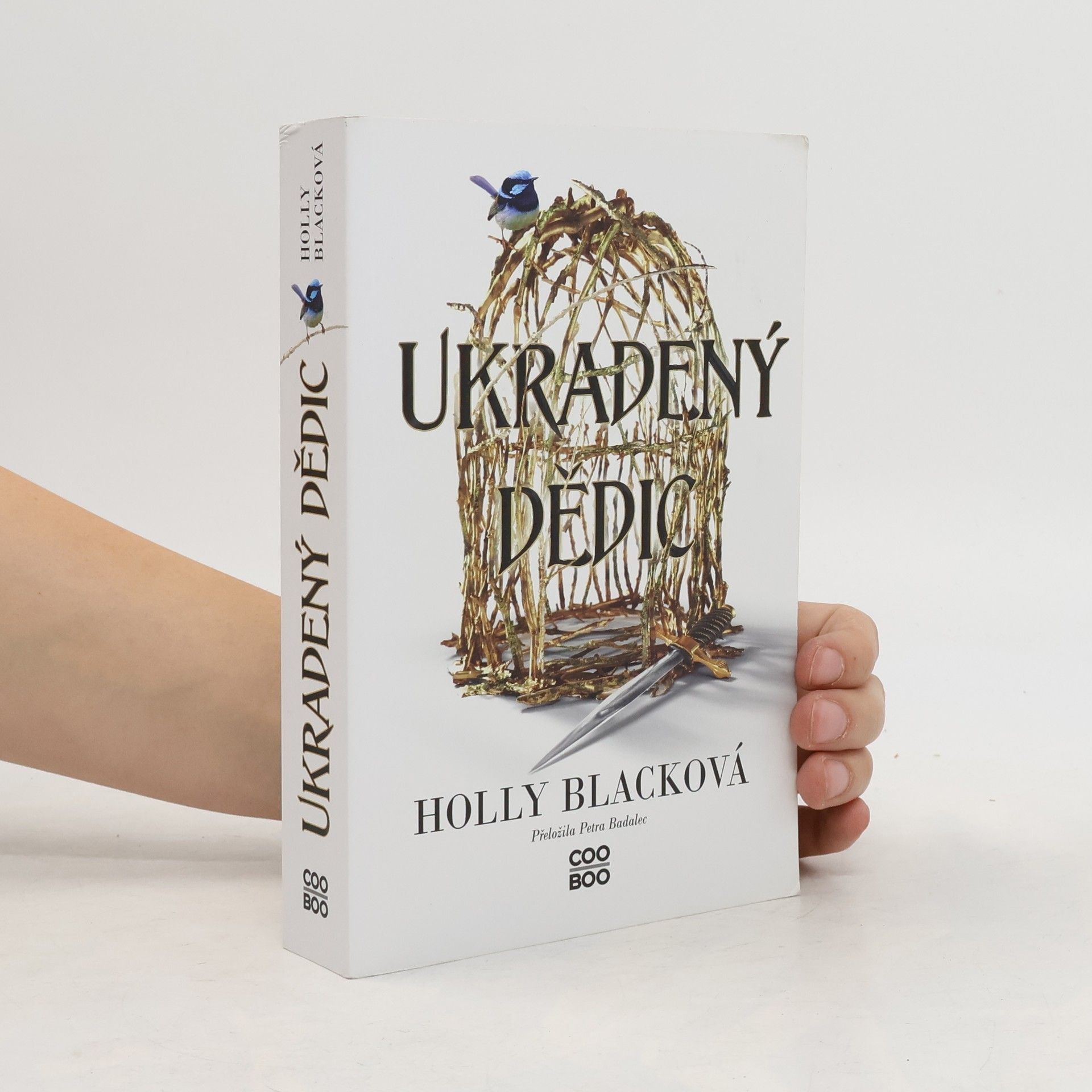 Holly Black Ukradený dědic