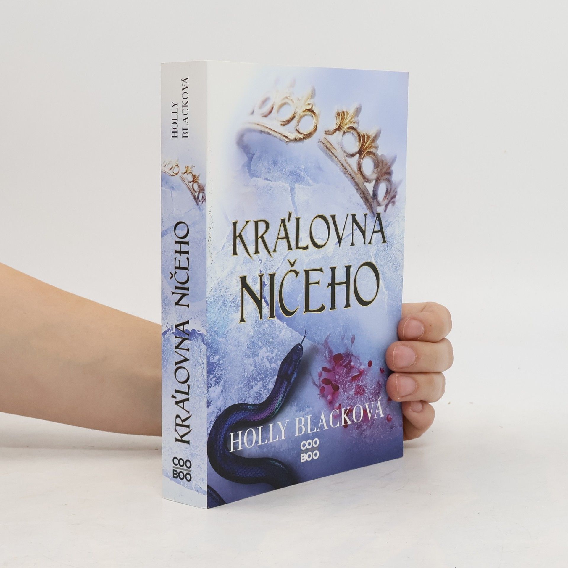 Holly Black Královna ničeho