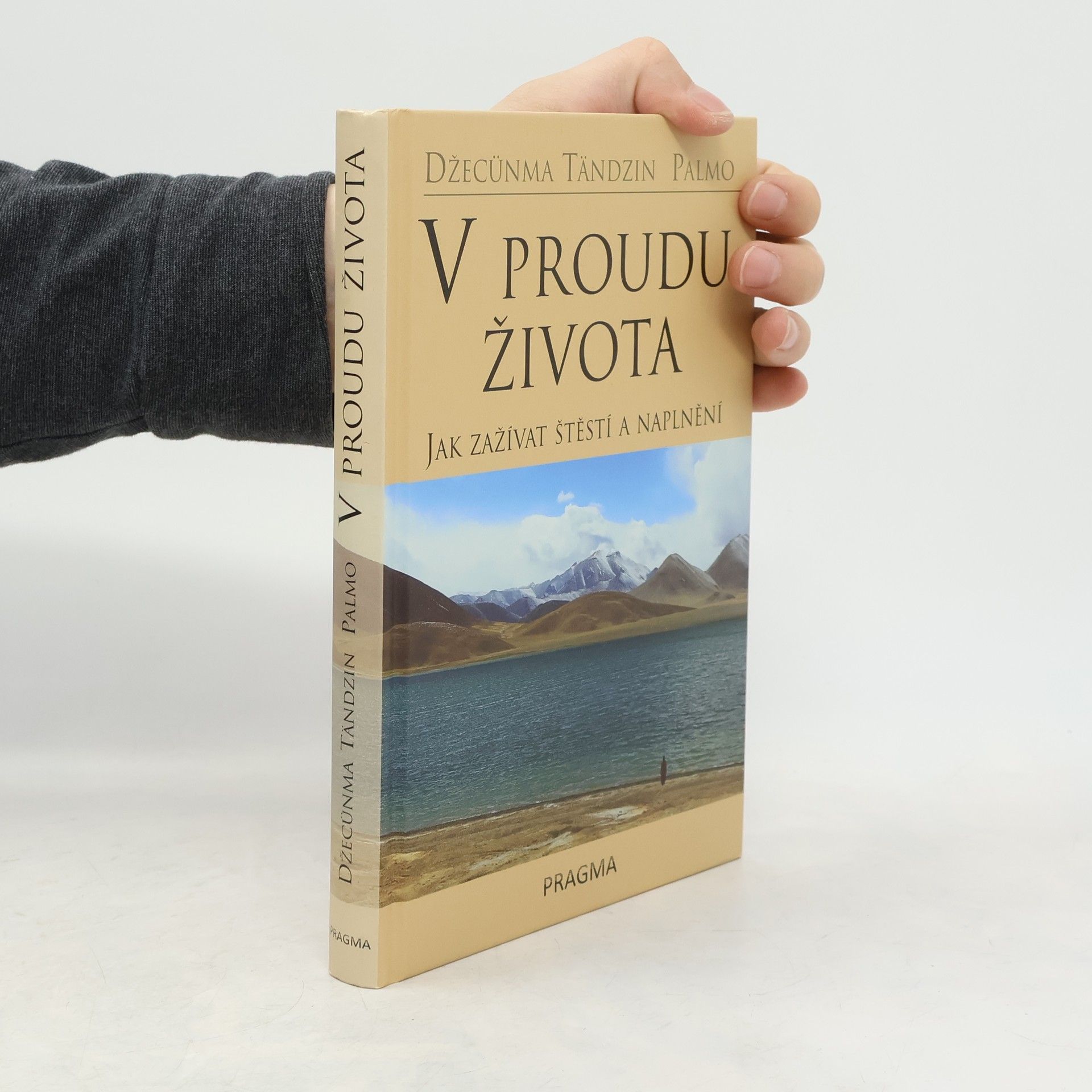 Palmo Tenzin V proudu života. Jak zažívat štěstí a naplnění