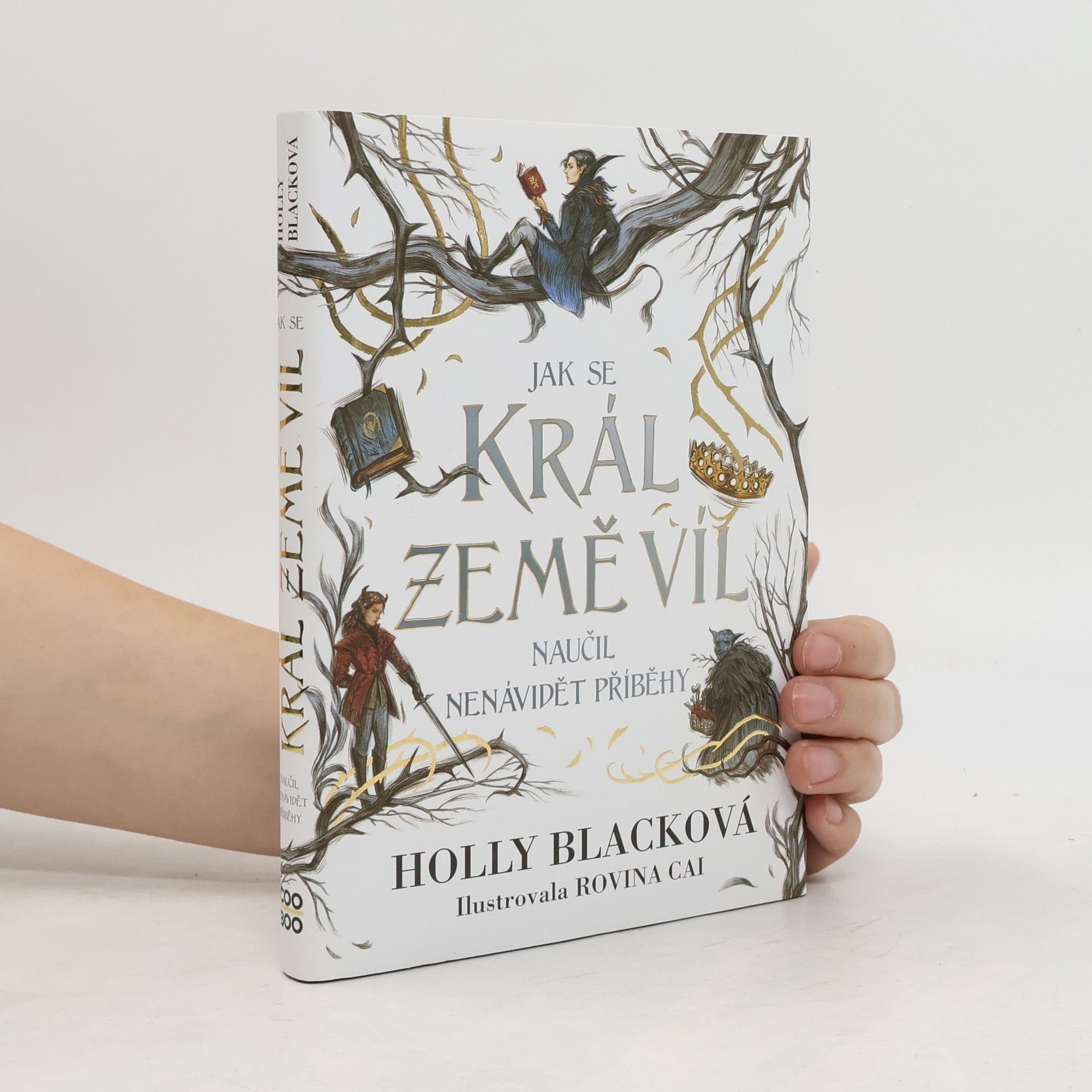 Holly Black Jak se král Země víl naučil nenávidět příběhy