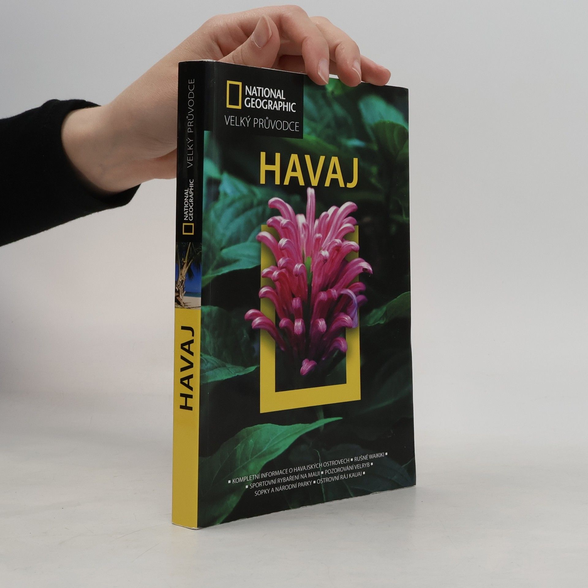 Rita Ariyoshi Havaj
