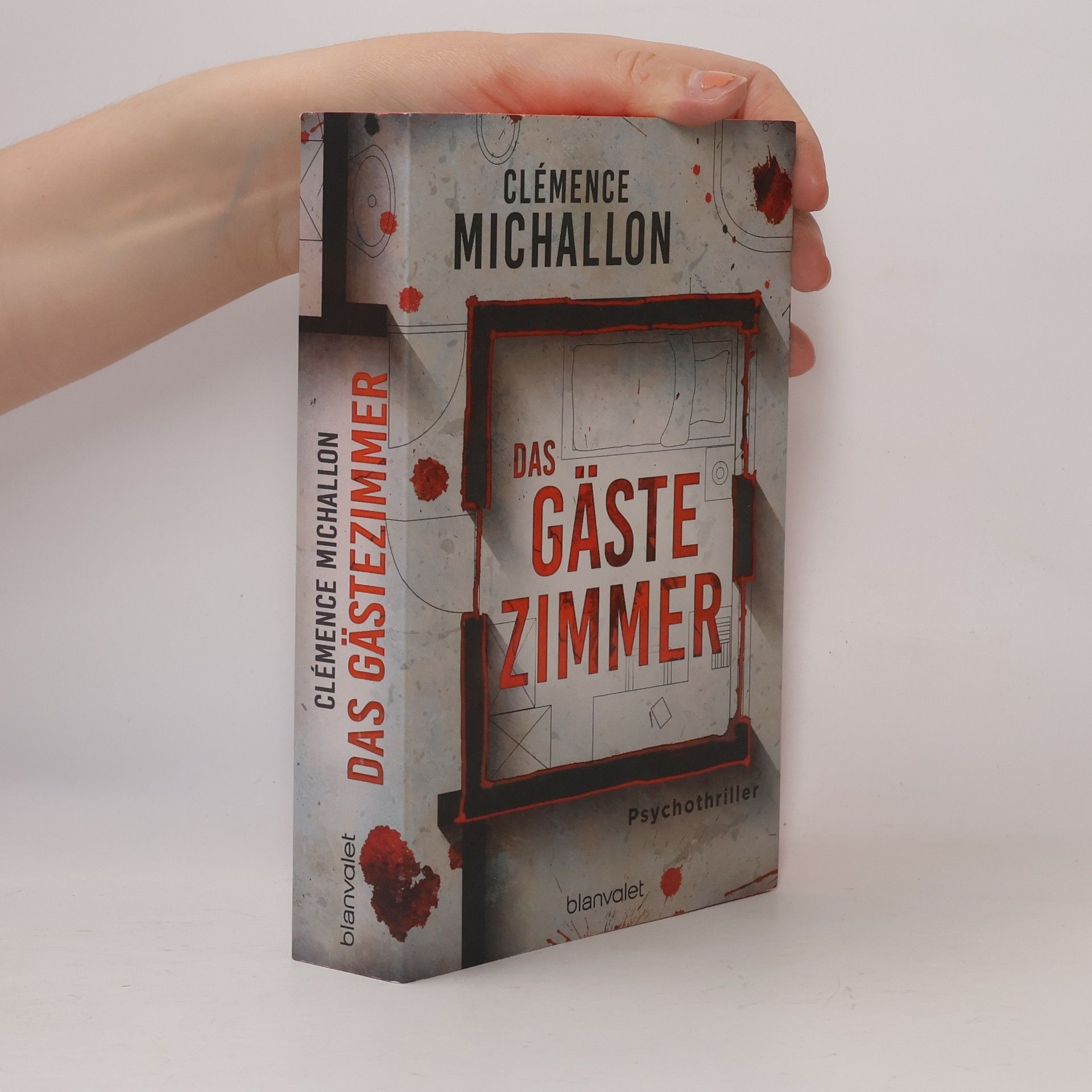 Clémence Michallon Das Gästezimmer